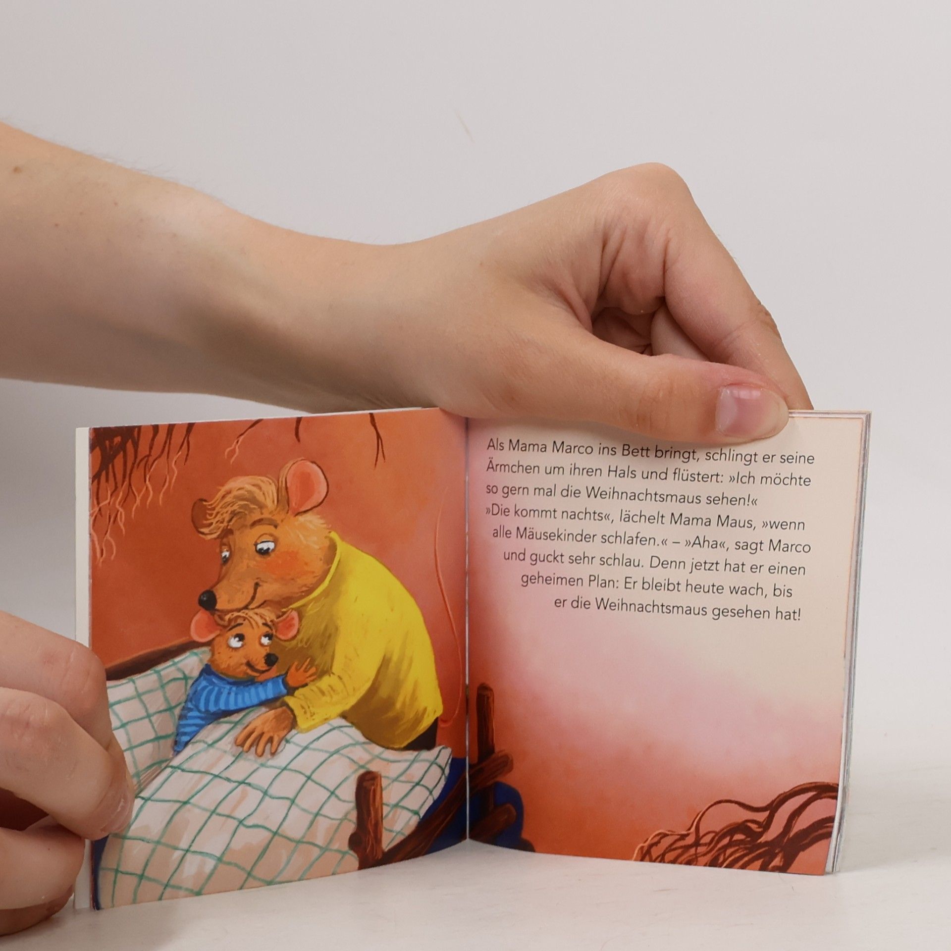Diverse WWS Pixi-Weihnachts-Box 38: Zauberhafte Weihnachten mit Pixi