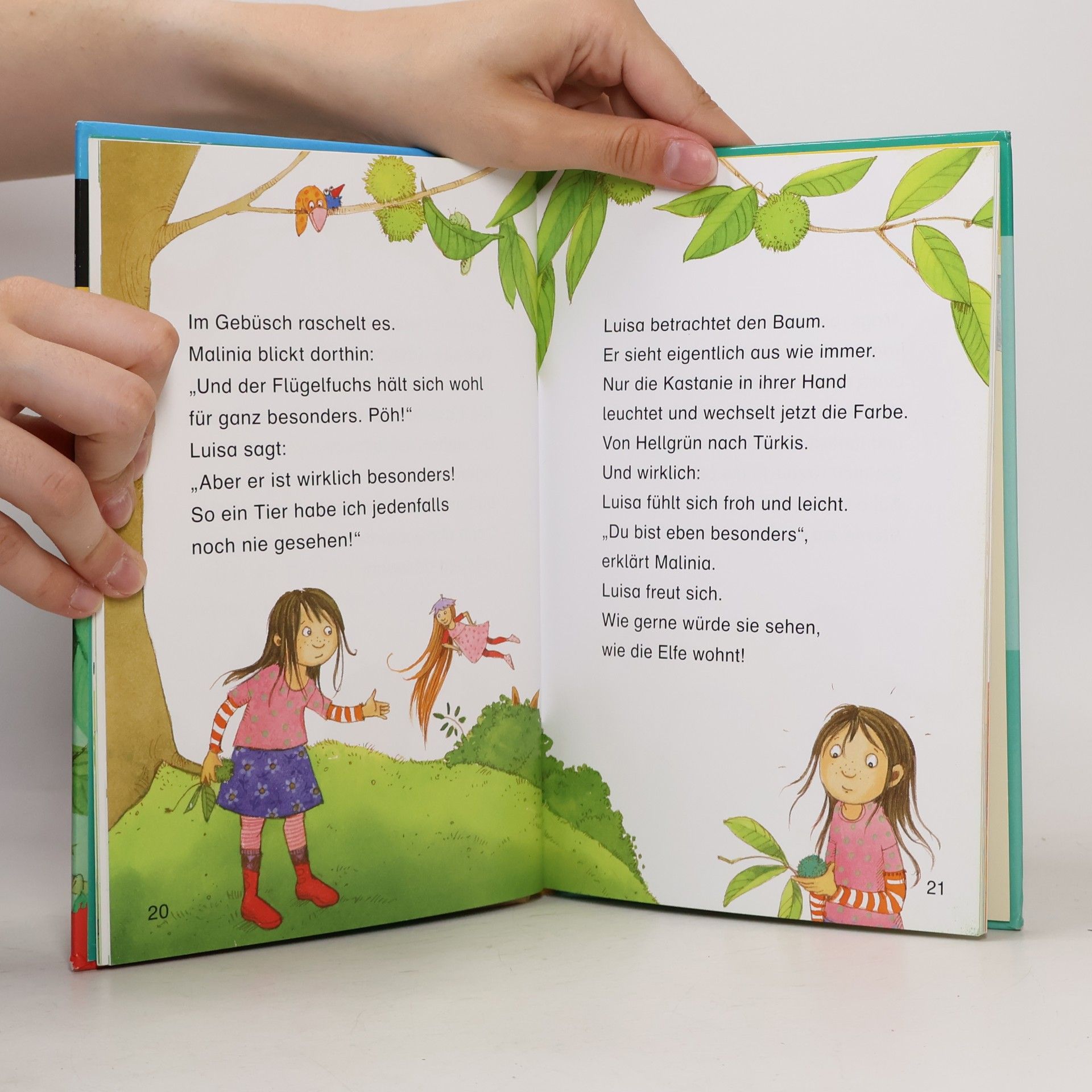 Nina Petrick Leseprofi: Der zauberhafte Elfenbaum: 2. Klasse