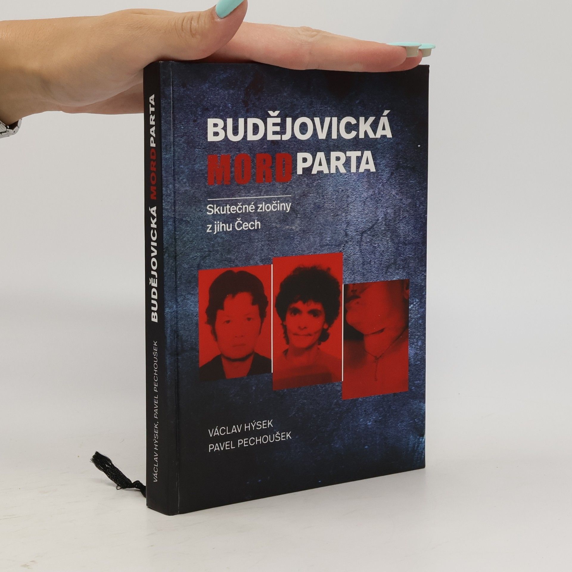 Václav Hýsek Budějovická mordparta