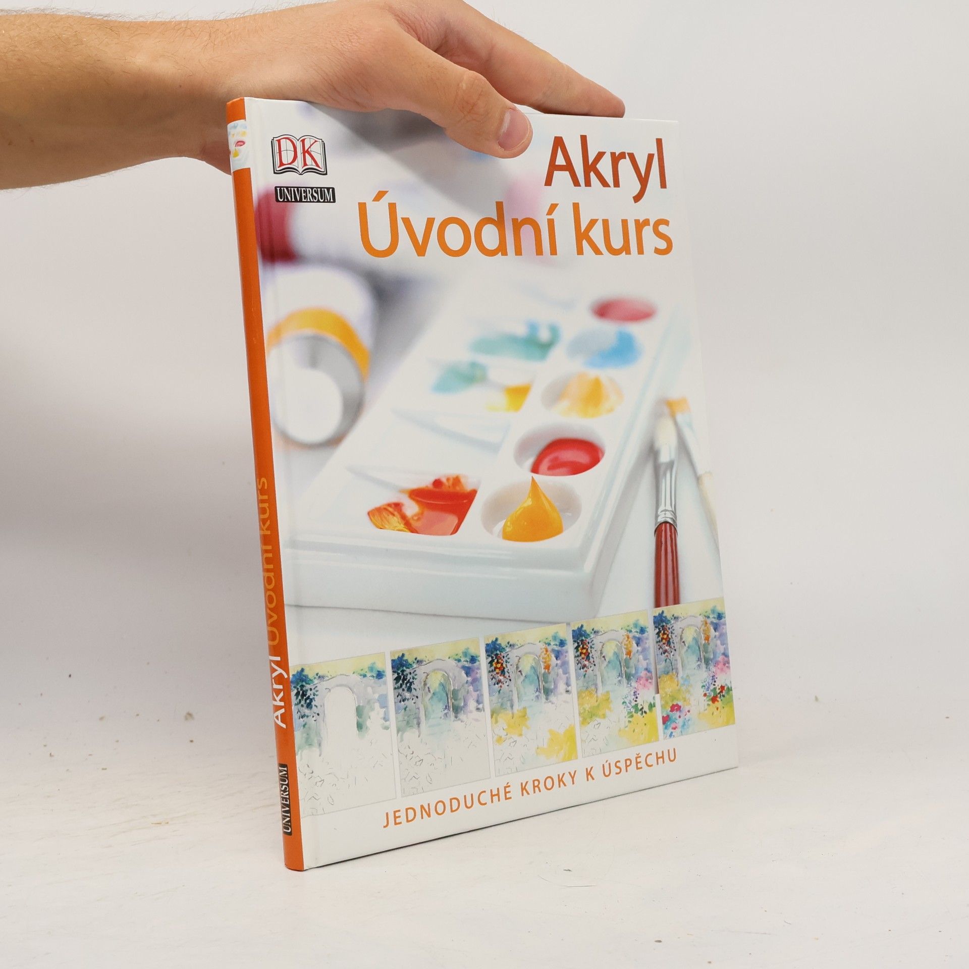 Phyllis McDowell Akryl : úvodní kurs