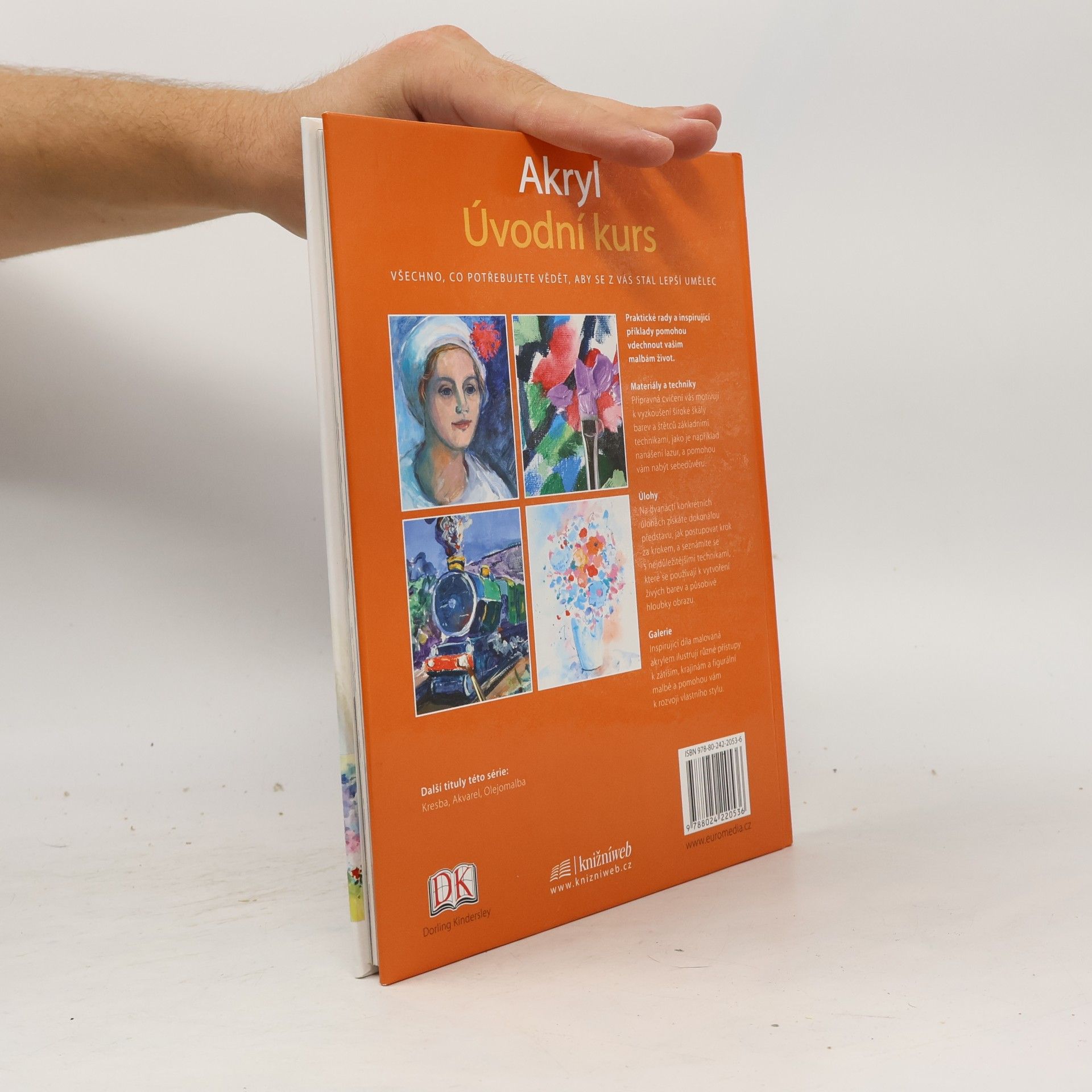 Phyllis McDowell Akryl : úvodní kurs