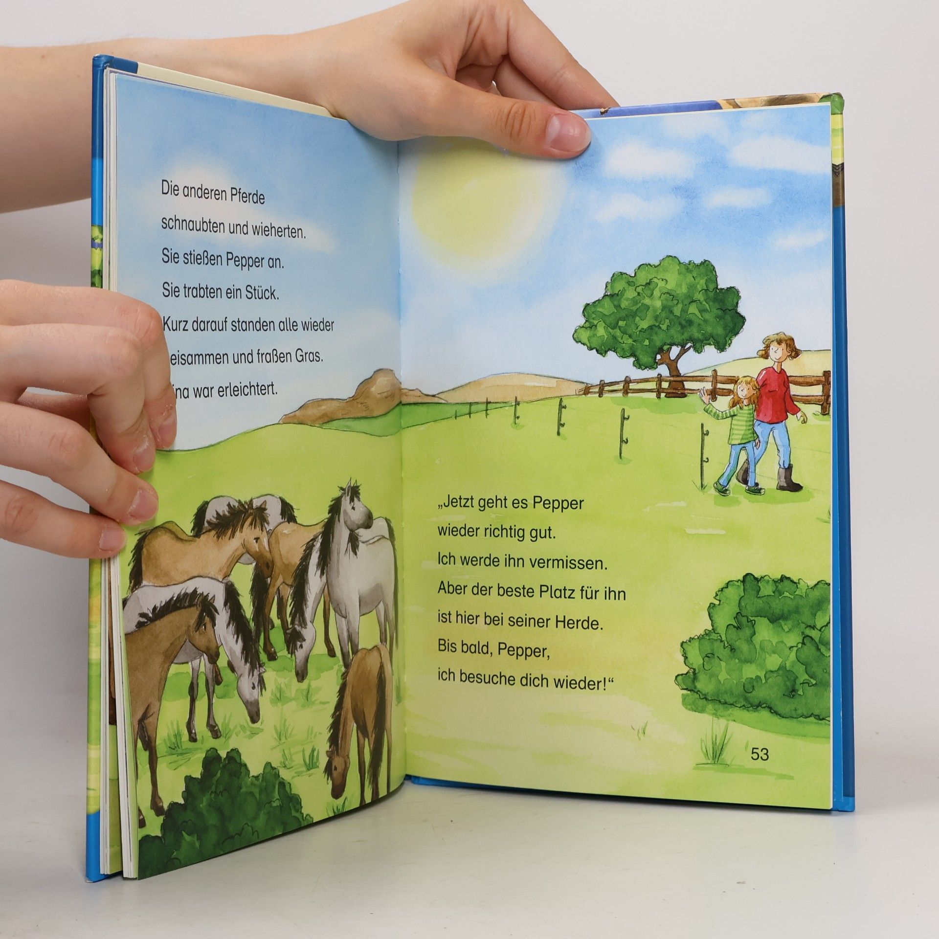 Carmen Hochmann Leselöwen 2. Klasse. Das verletzte Wildpferd