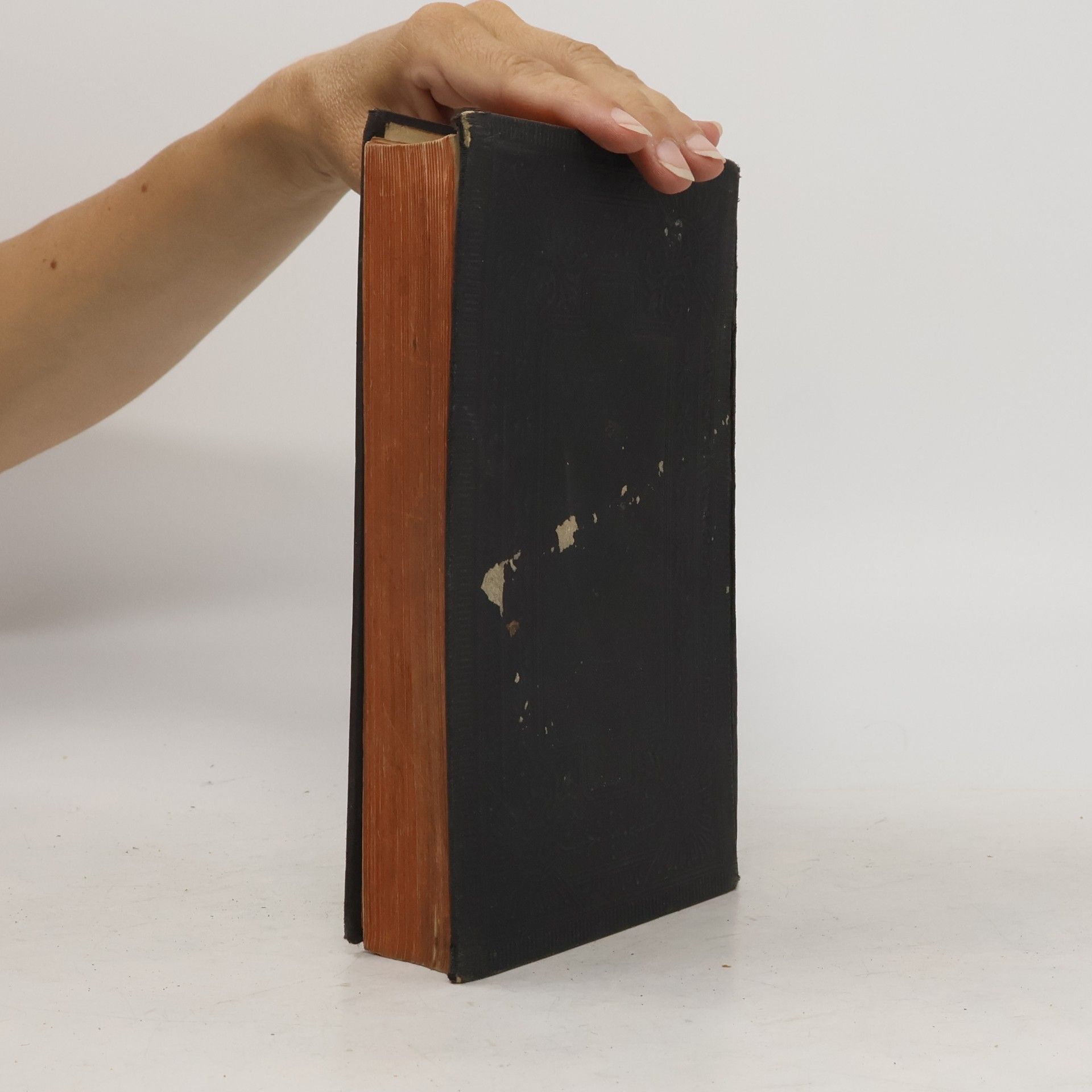 kolektiv Die heiligen Schriften des Alten und Neuen Testamentes