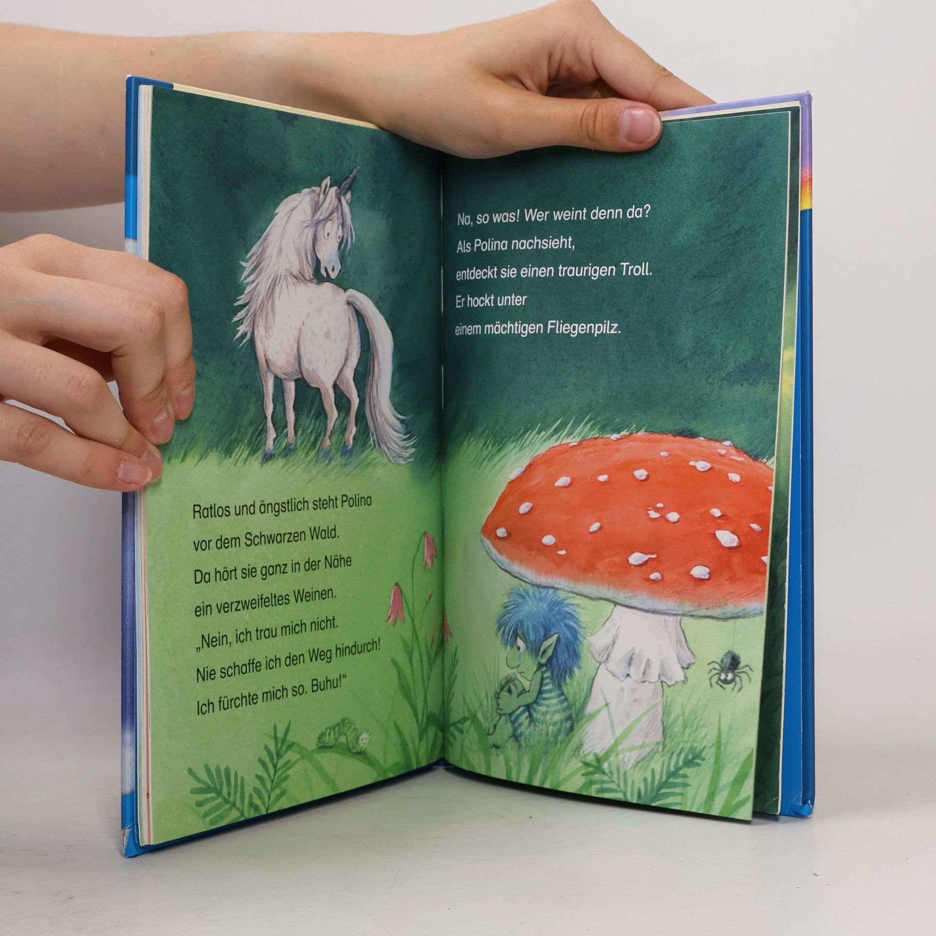 Barbara Rose Leselöwen 2. Klasse - Einhorngeschichten