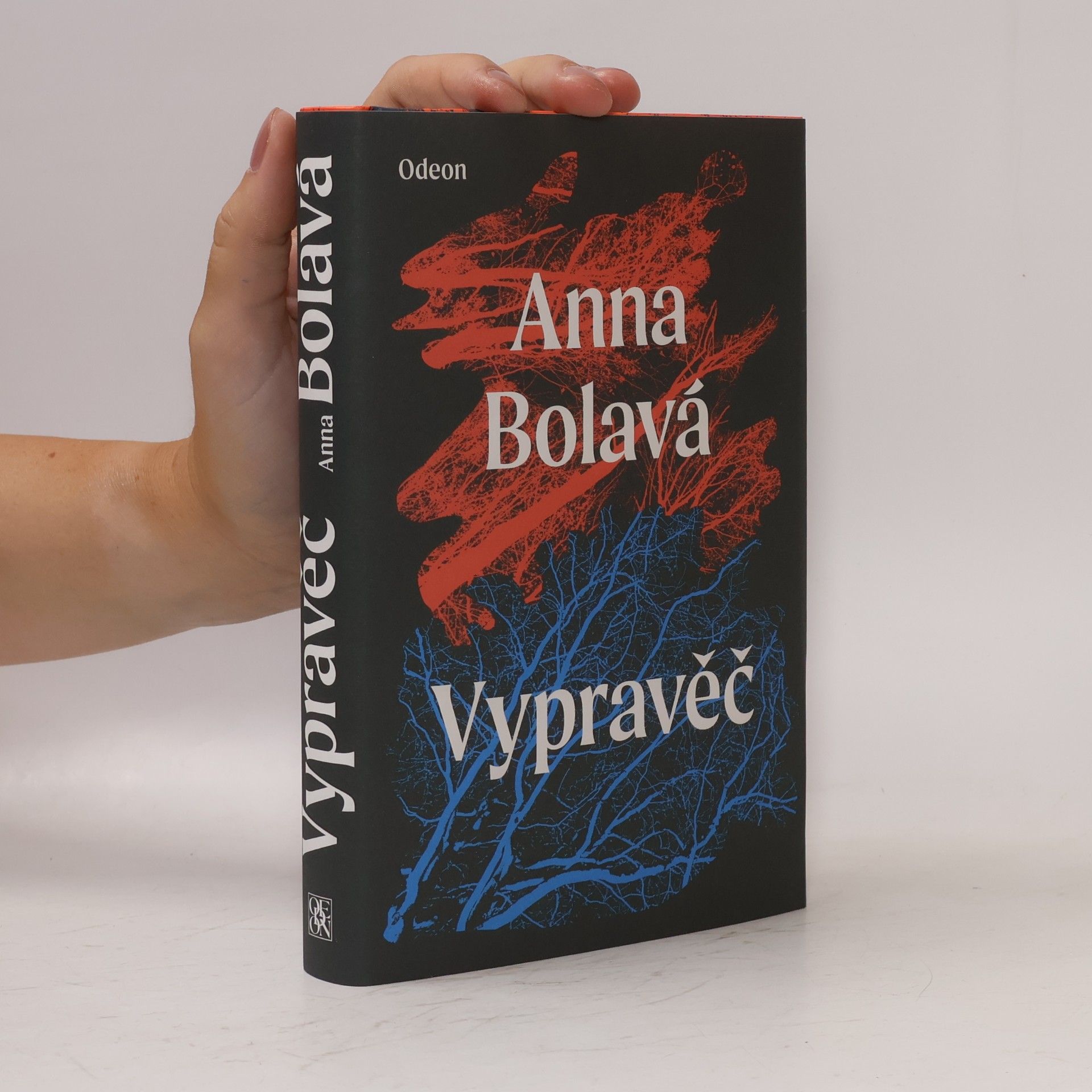 Anna Bolavá Vypravěč