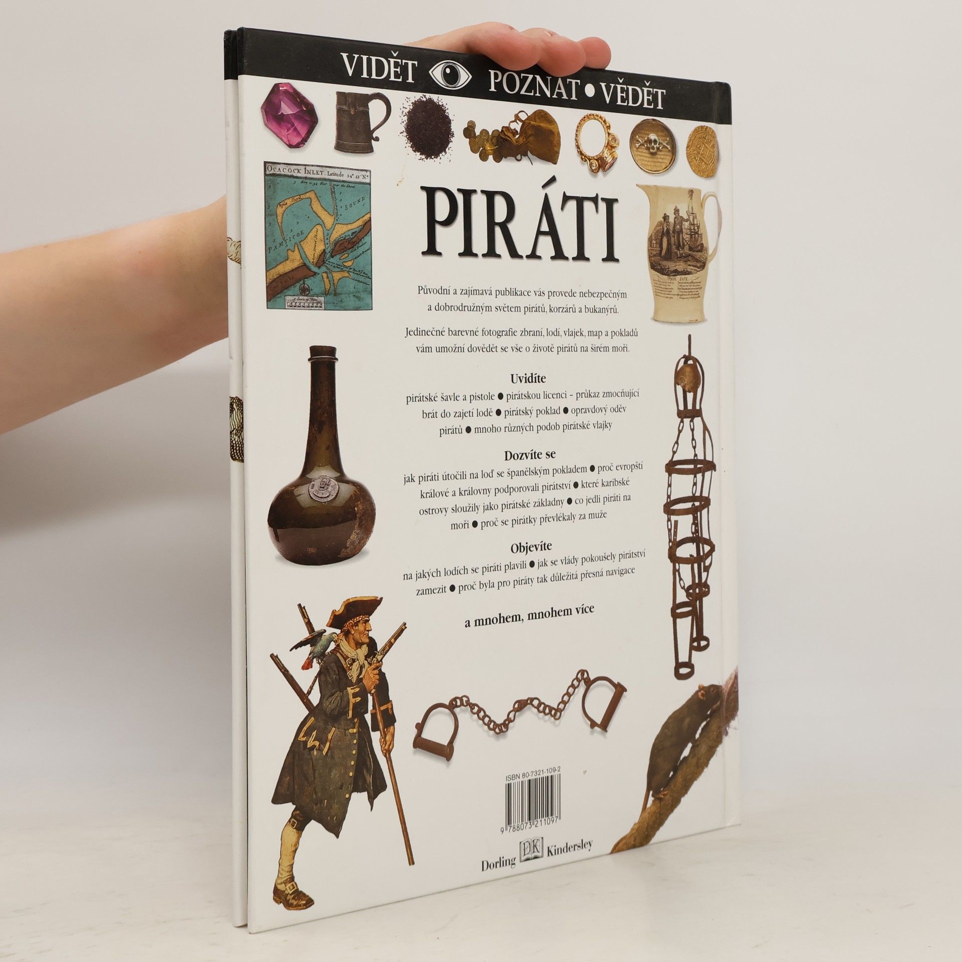 Richard Platt Piráti