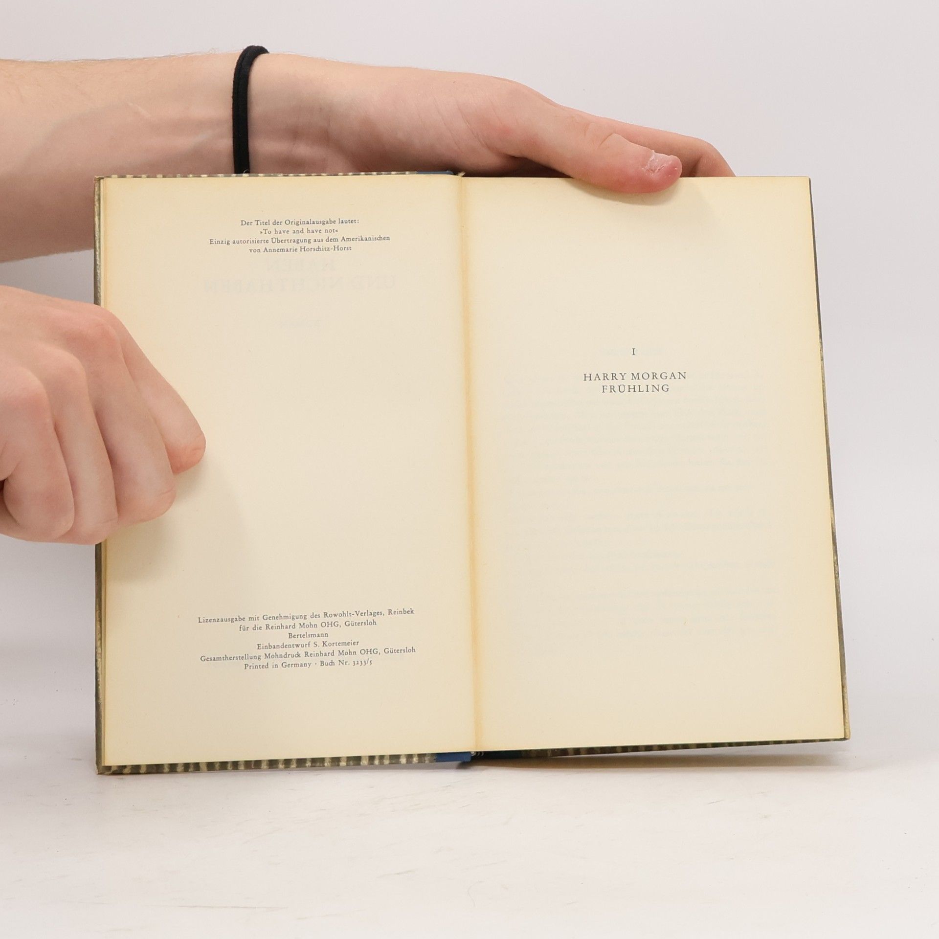 Ernest Hemingway Haben und nicht haben