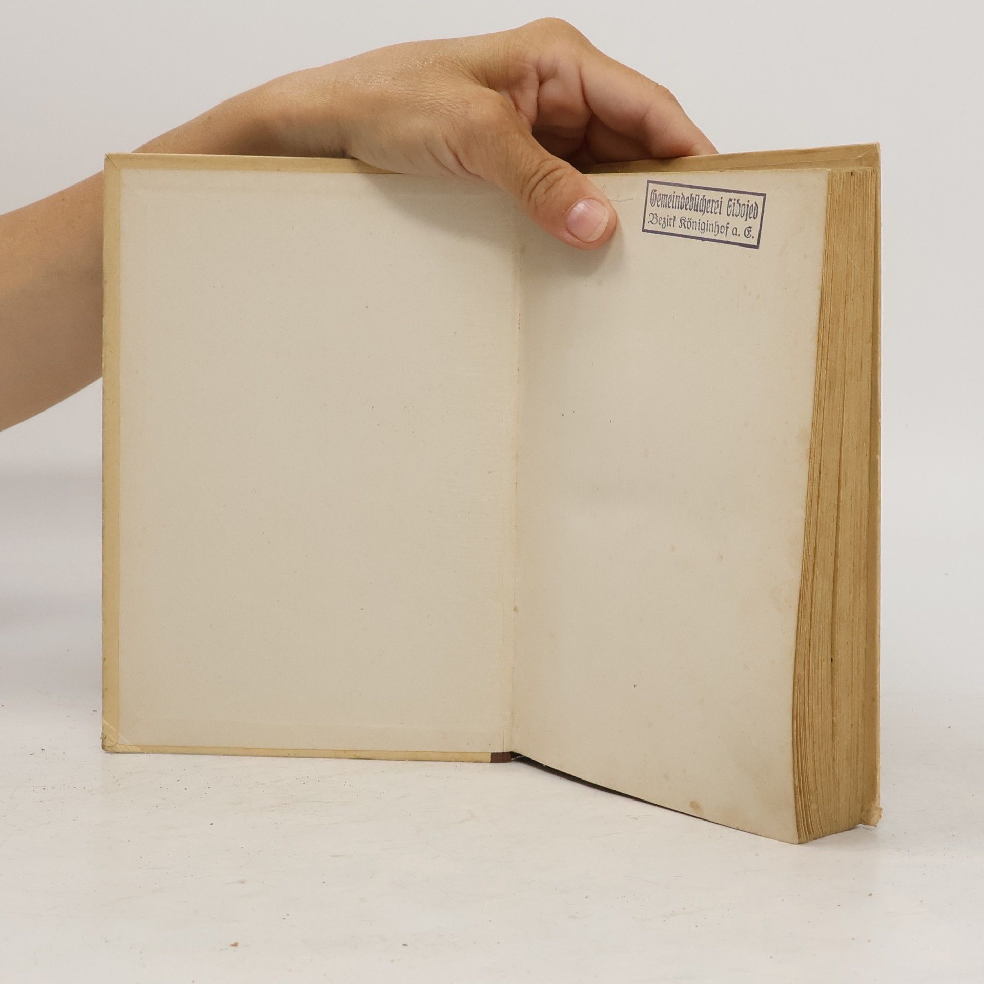 Berthold Bretholz Geschichte Böhmens und Mährens 1. Band