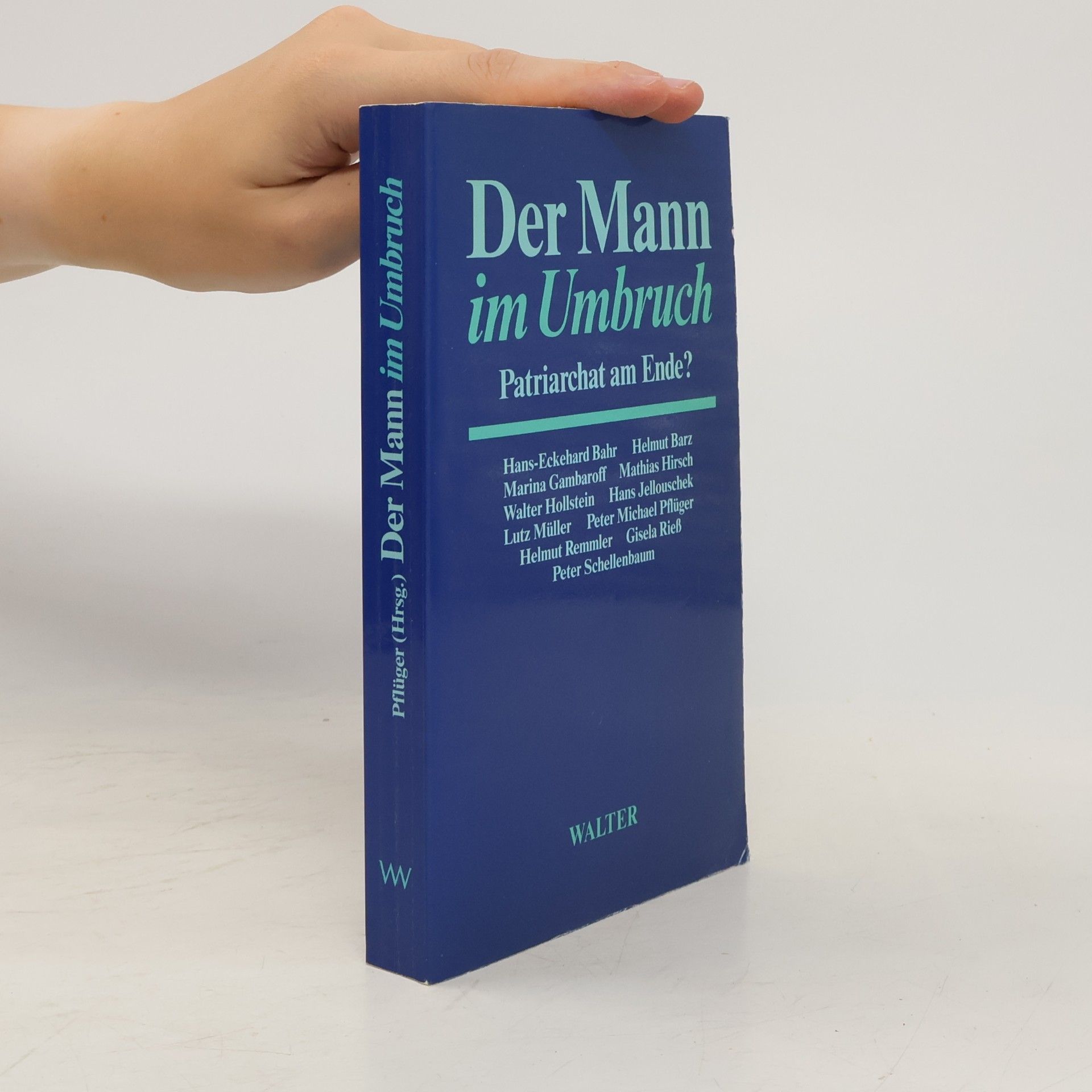 Peter Michael Pflügler Der Mann im Umbruch