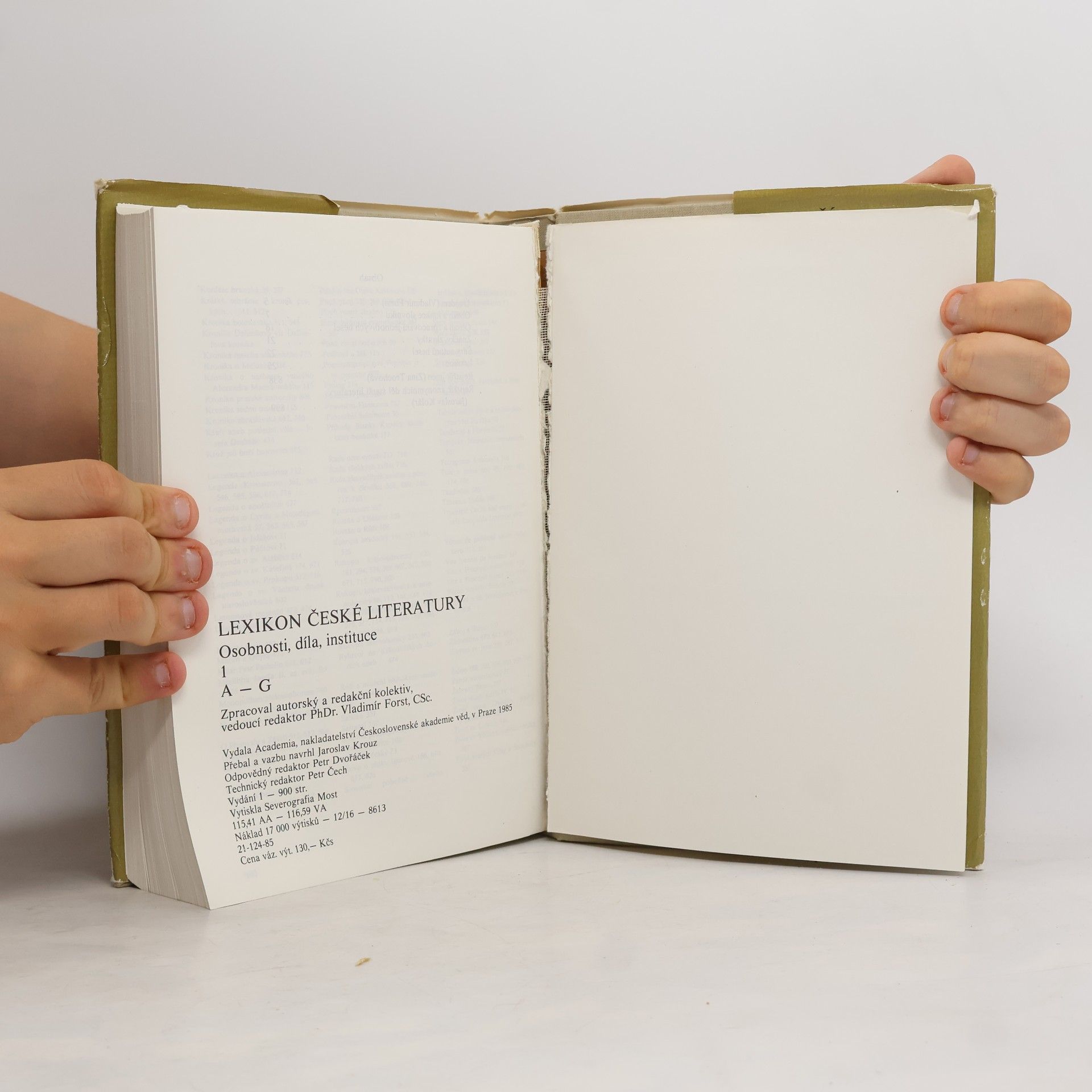 kolektiv Lexikon české literatury 1. A - G
