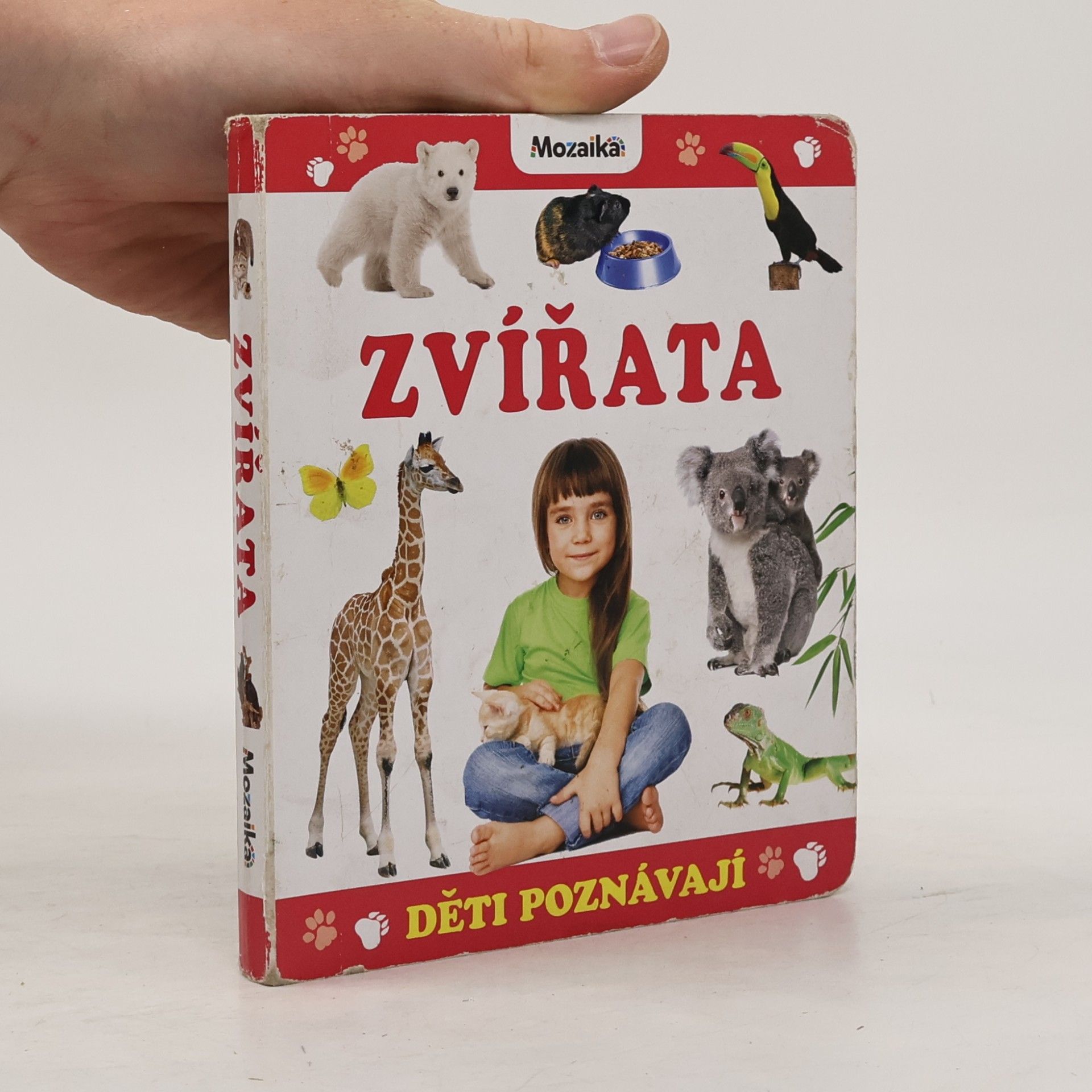 Kolektív autorov Děti poznávají zvířata