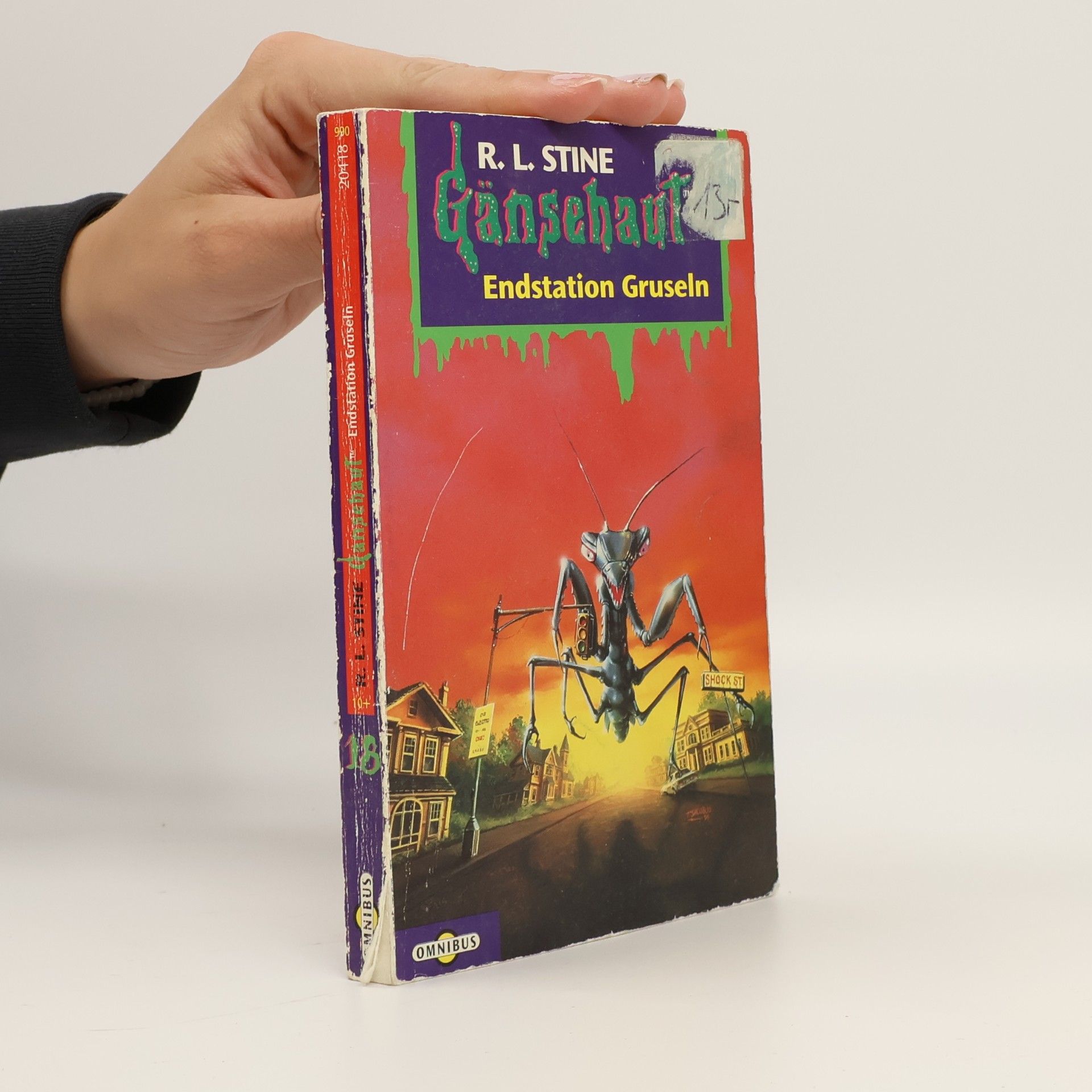 R. L. Stine Gänsehaut 18. Endstation Gruseln