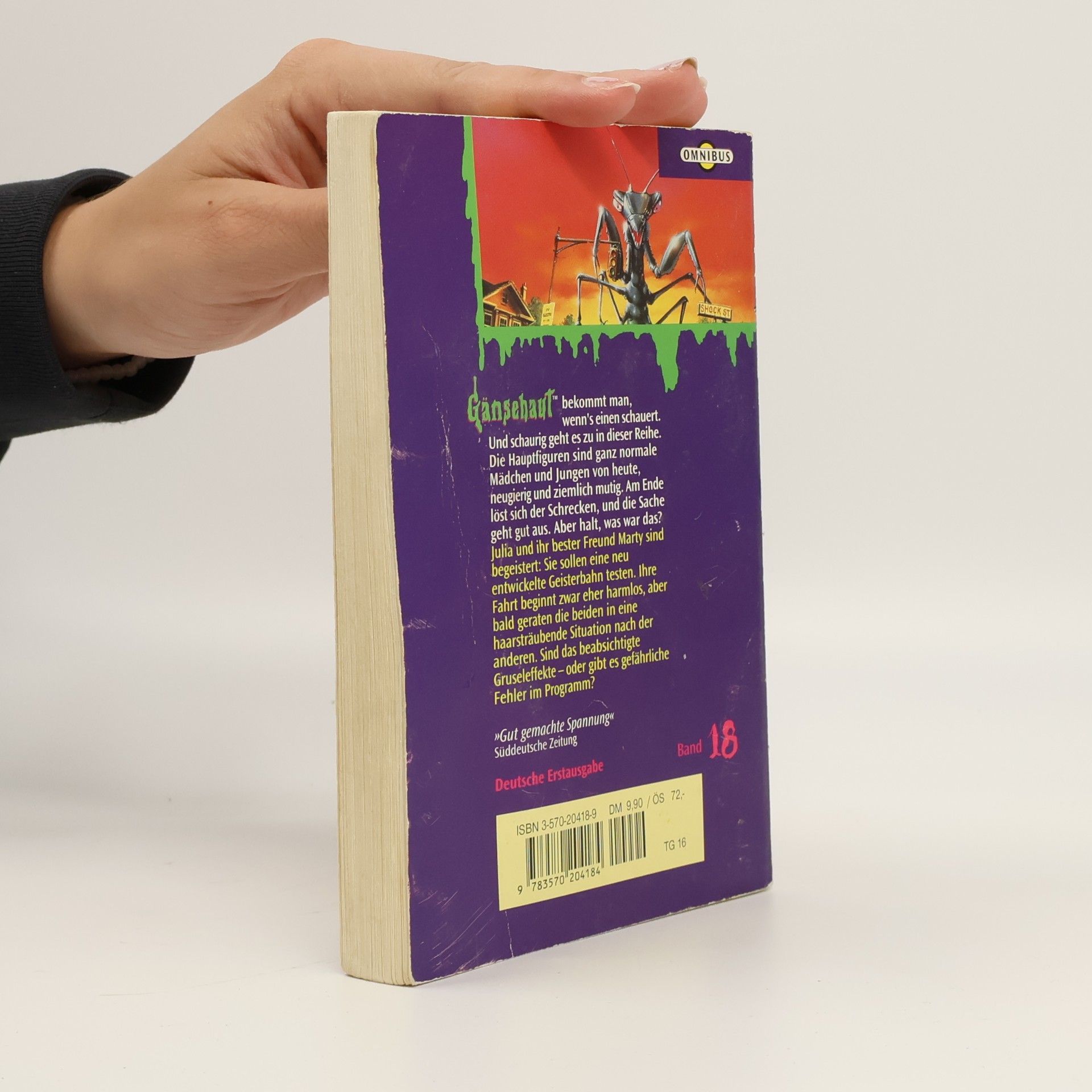 R. L. Stine Gänsehaut 18. Endstation Gruseln