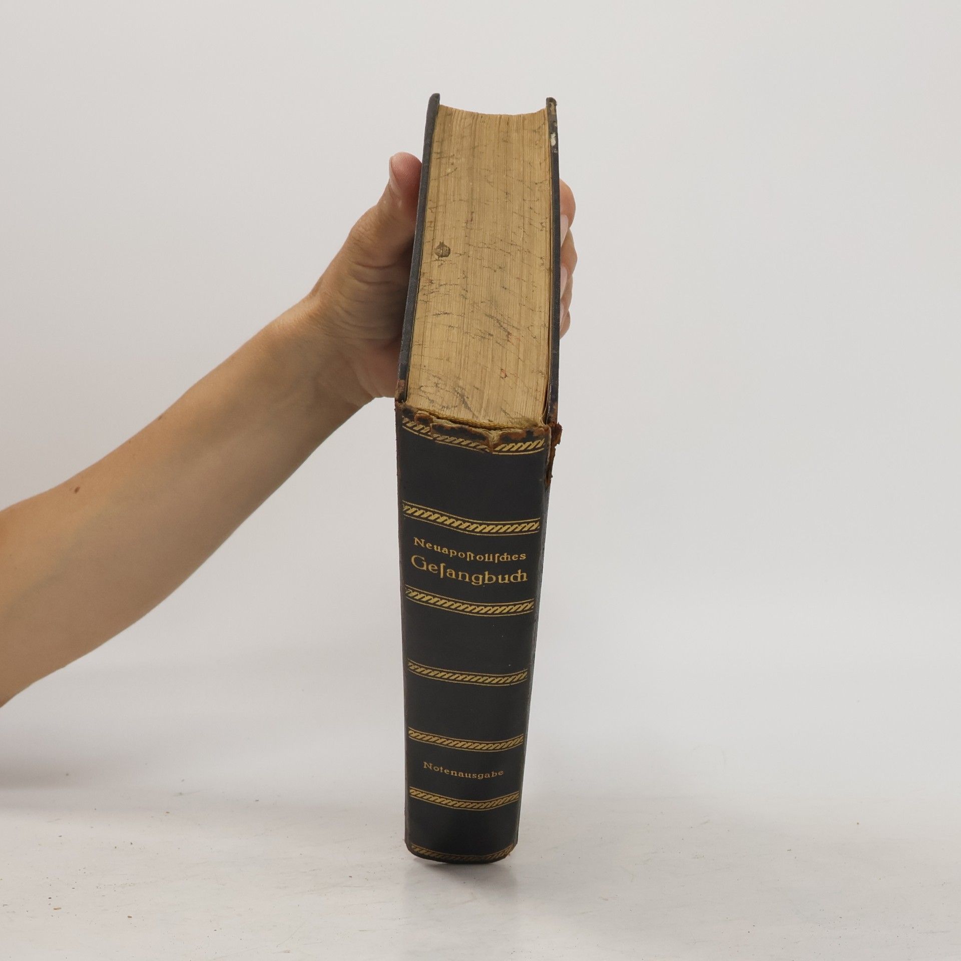 kolektiv Neuapostolisches Gesangbuch