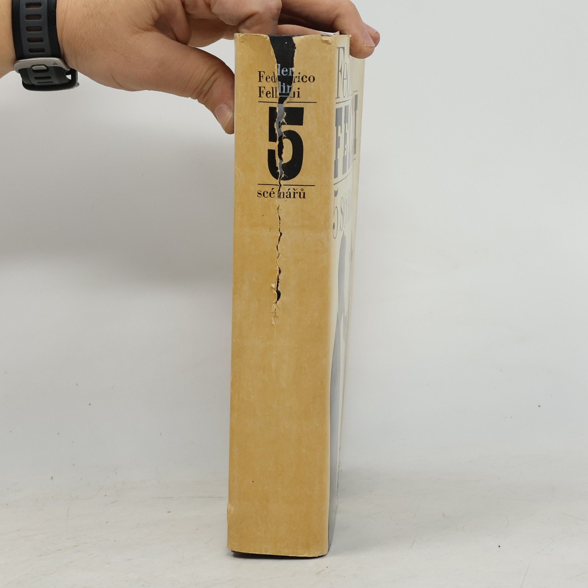 Federico Fellini 5 scénářů