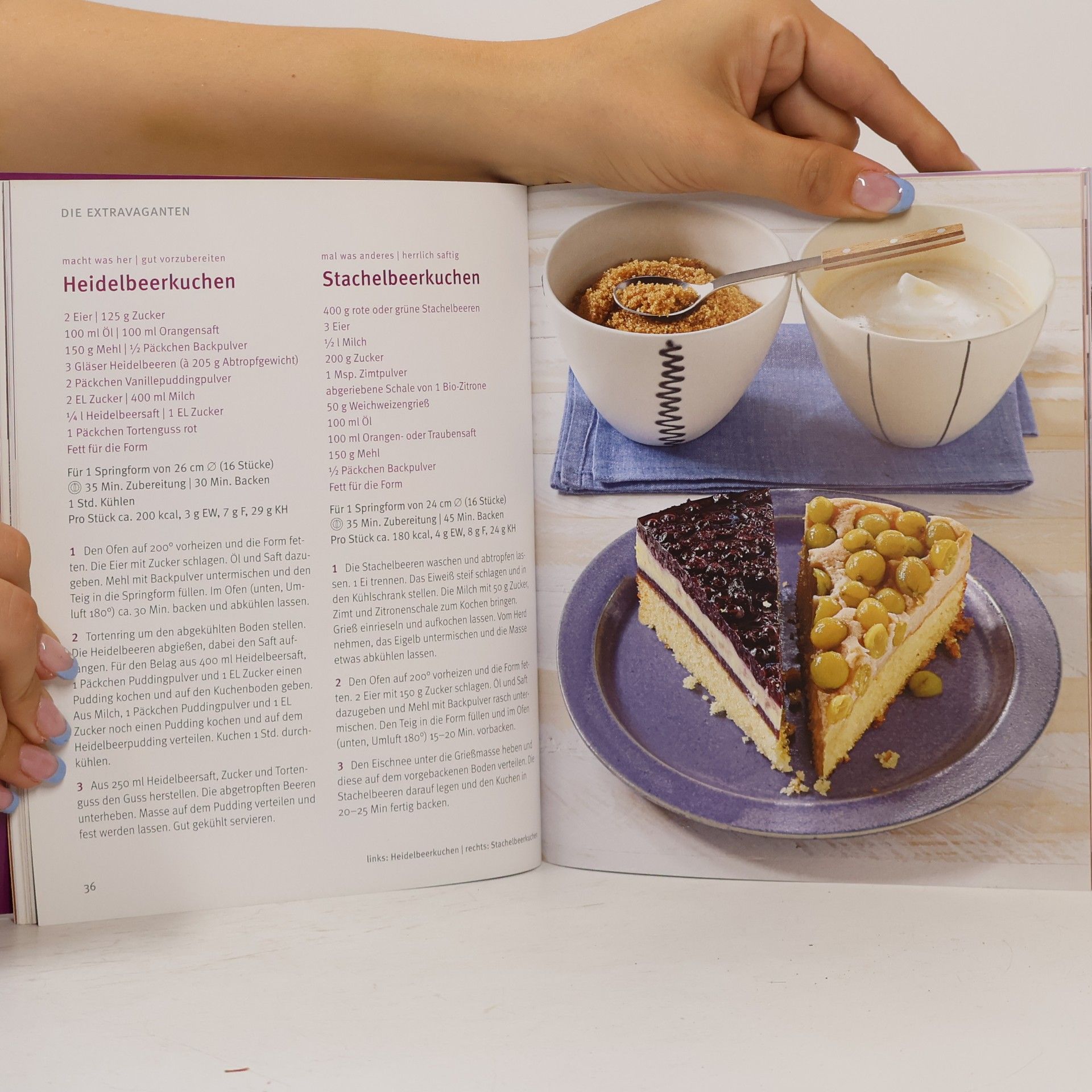 Gina Greifenstein 1 Teig - 50 Kuchen