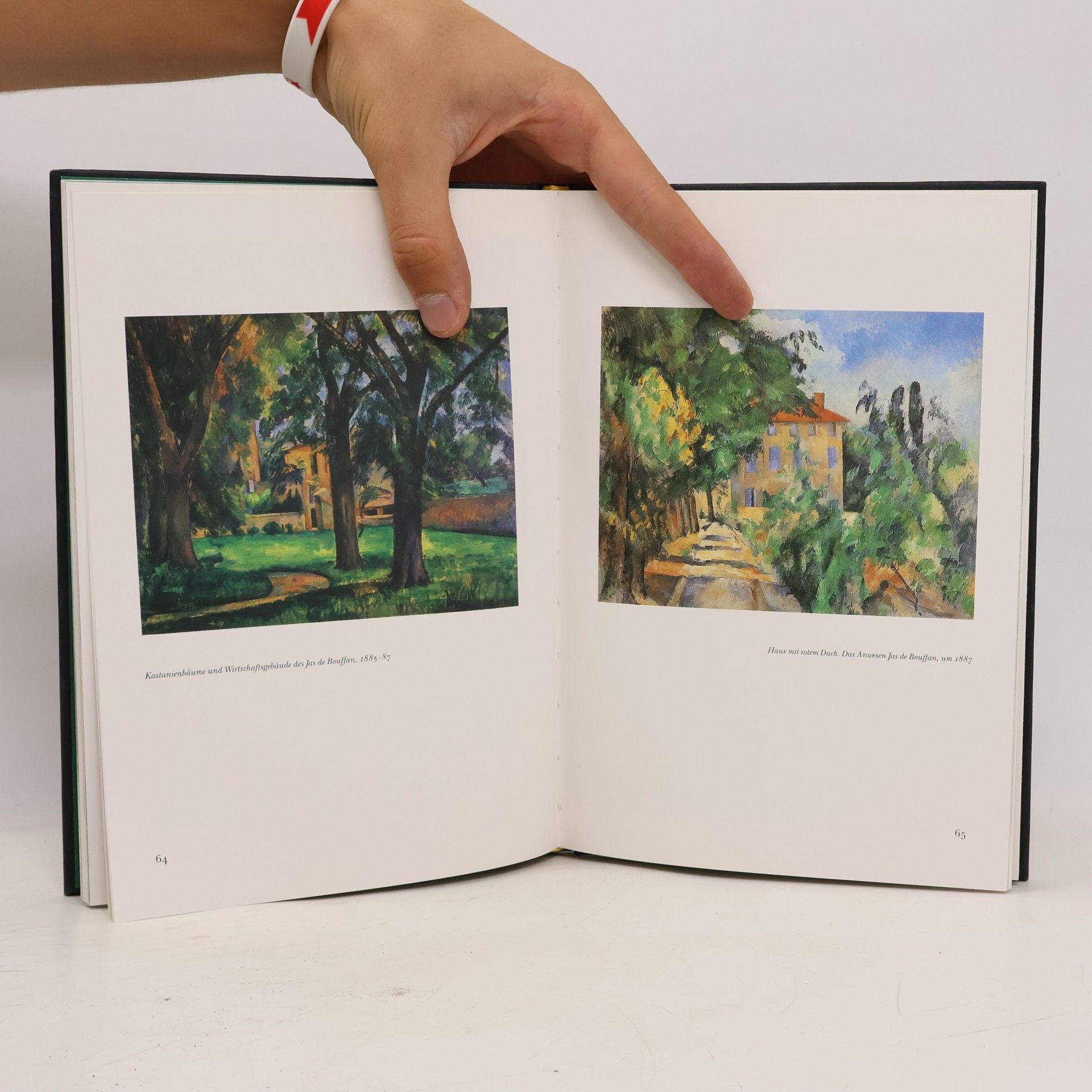 Evmarie Schmitt Cézanne in der Provence