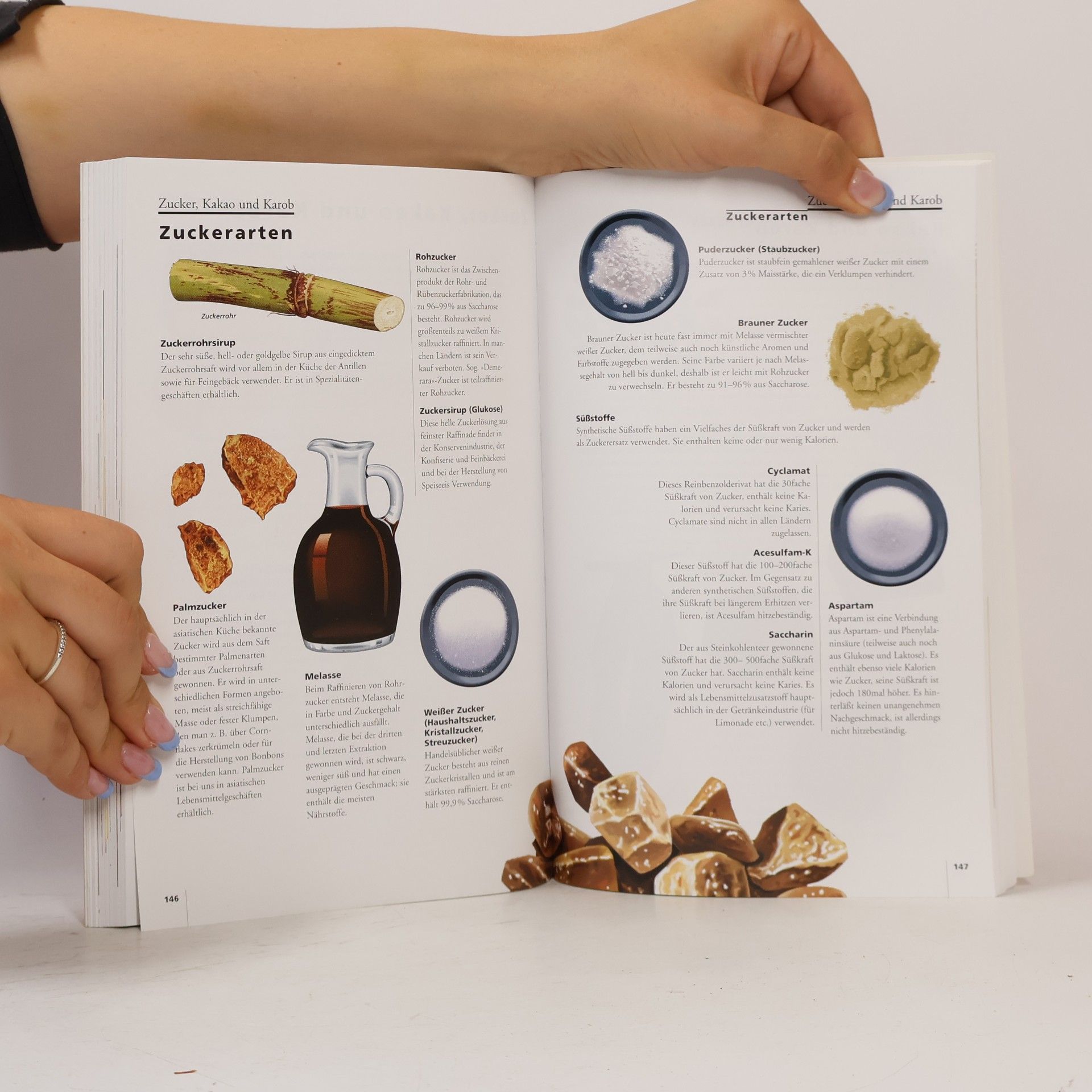 Autorenkollektiv Food Guide - Internationaler Lebensmittelkompass
