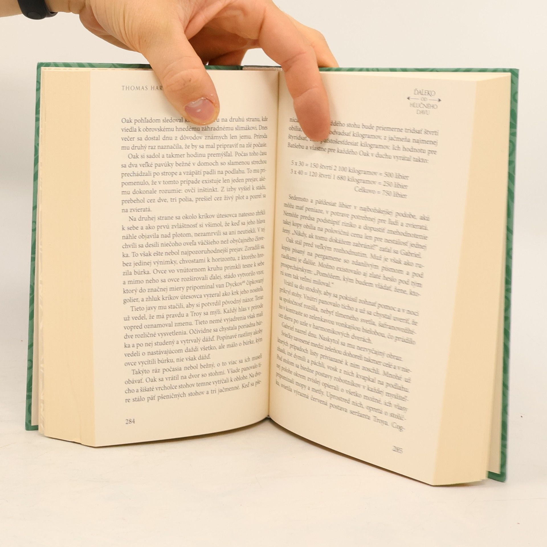 Thomas Hardy Ďaleko od hlučného davu