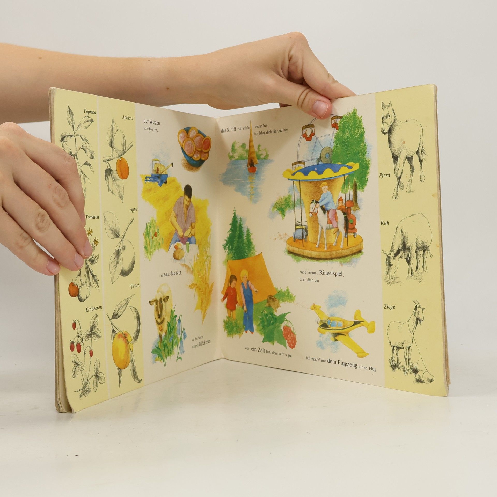 Števková Mária Das erste Buch für Barbara