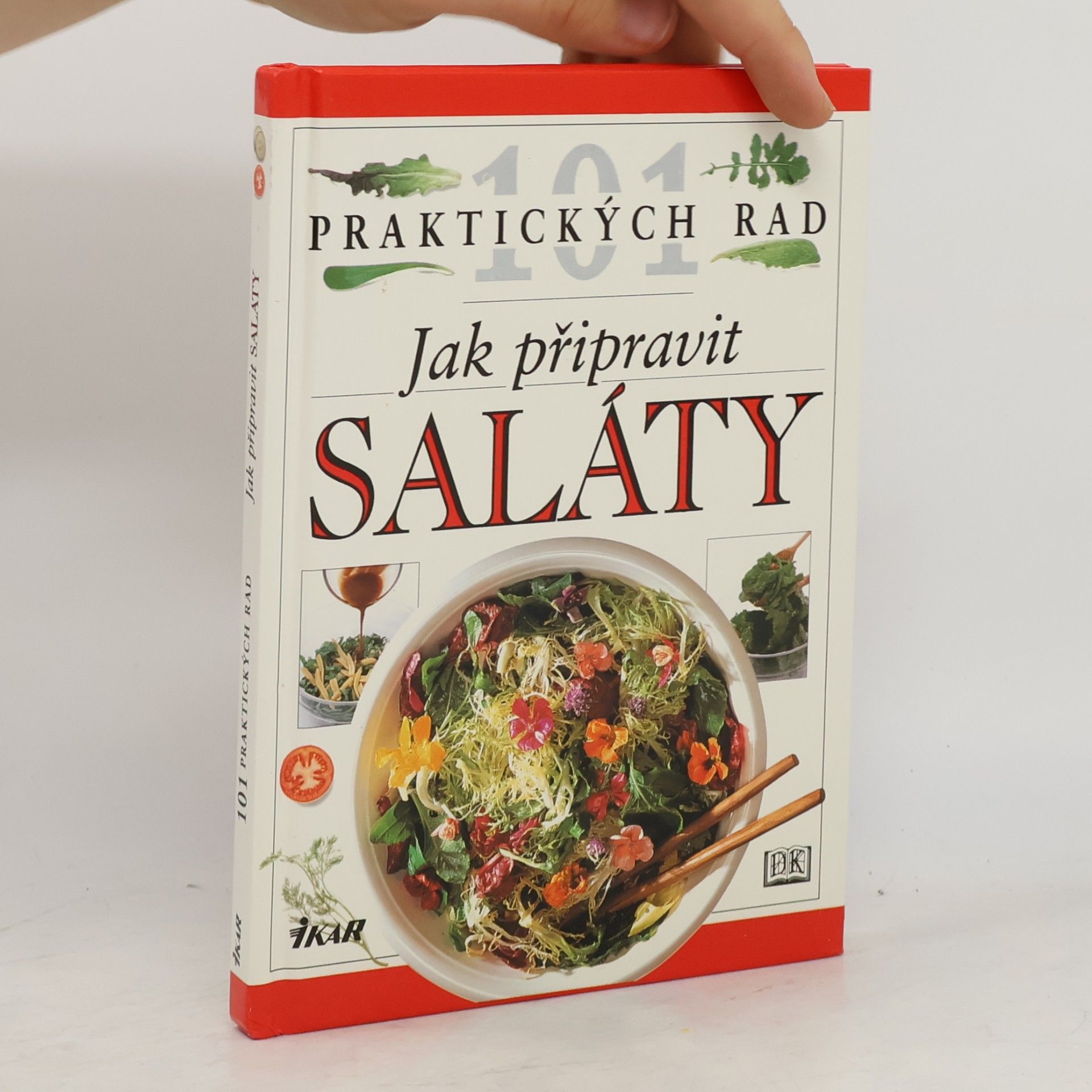 Anne Willan Jak připravit saláty