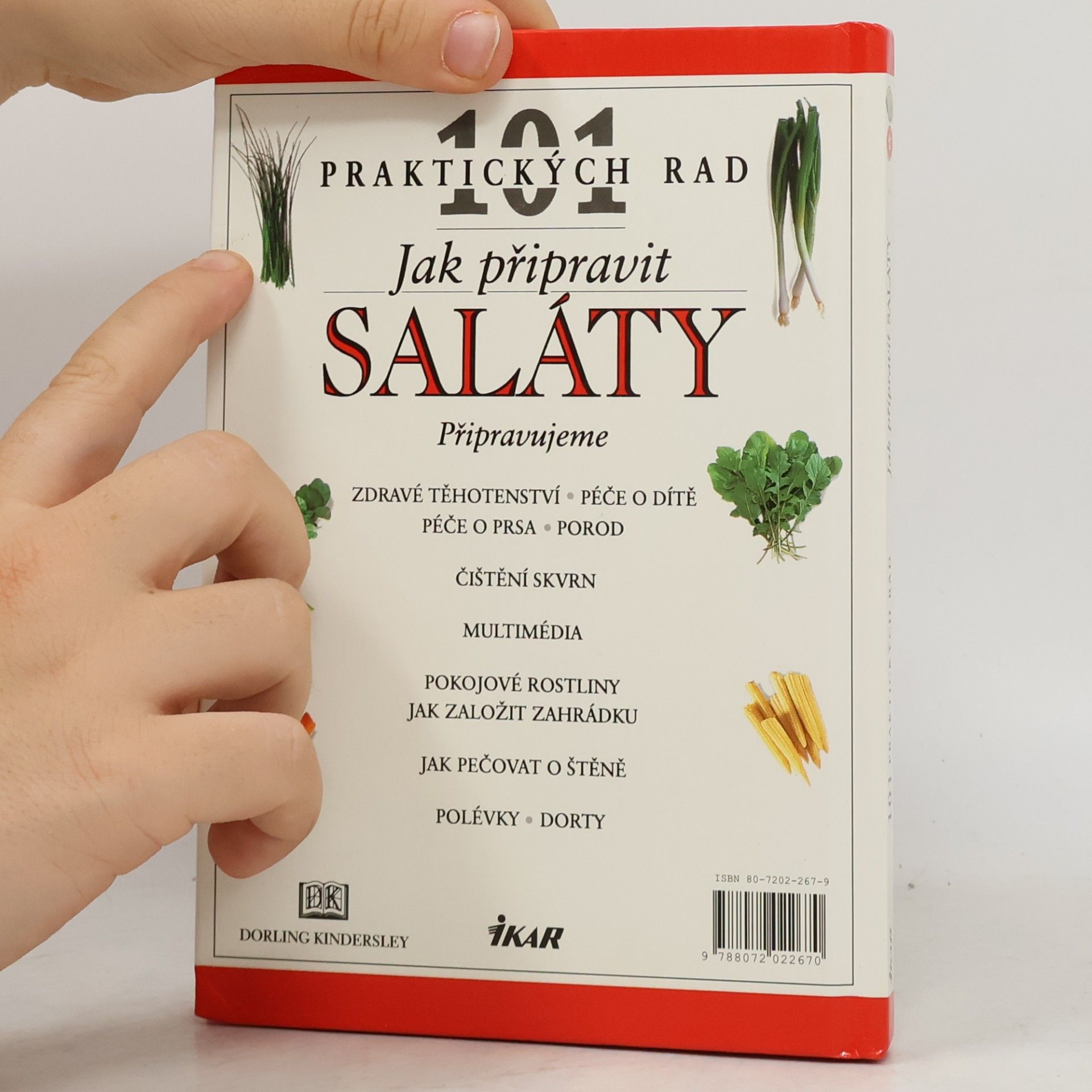 Anne Willan Jak připravit saláty