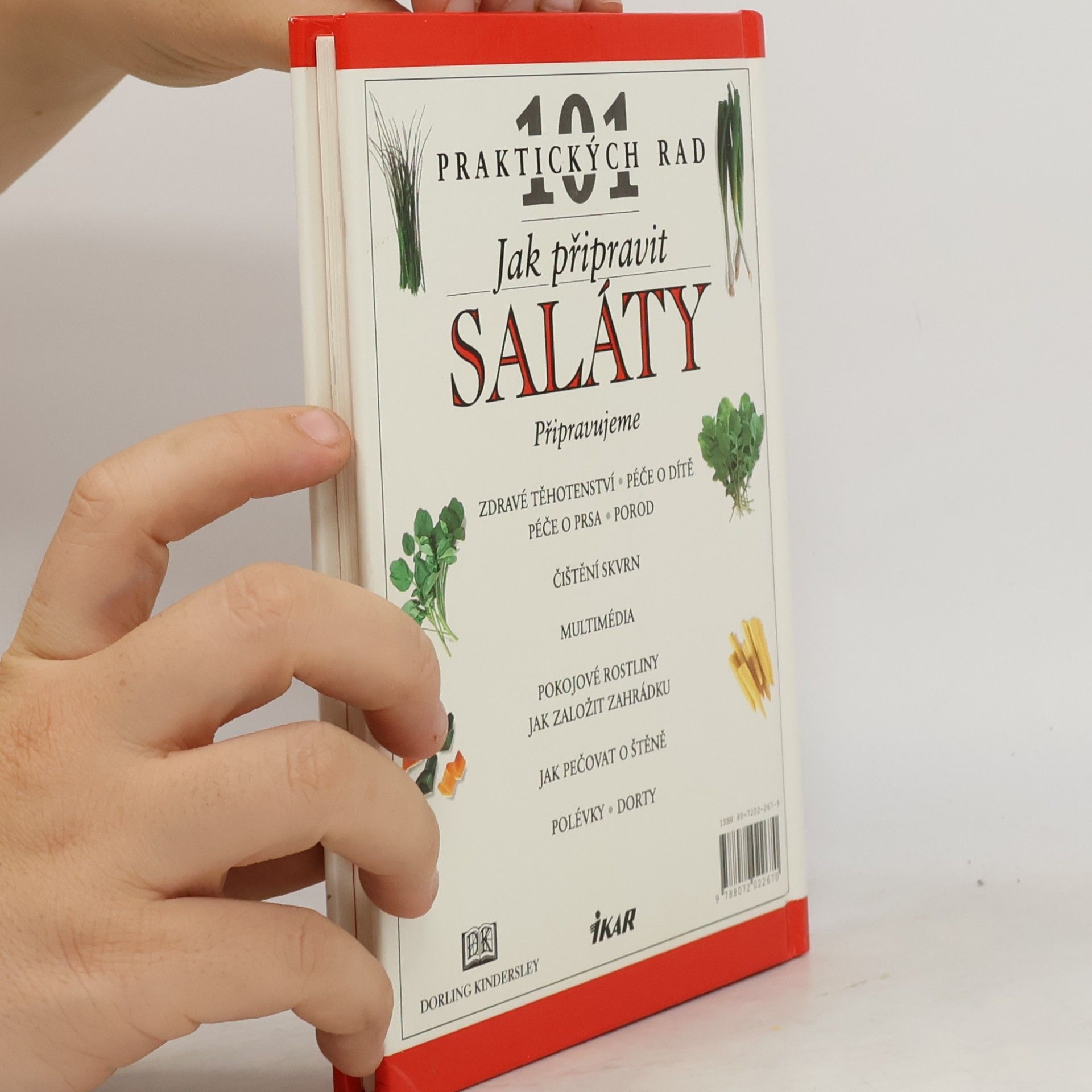 Anne Willan Jak připravit saláty