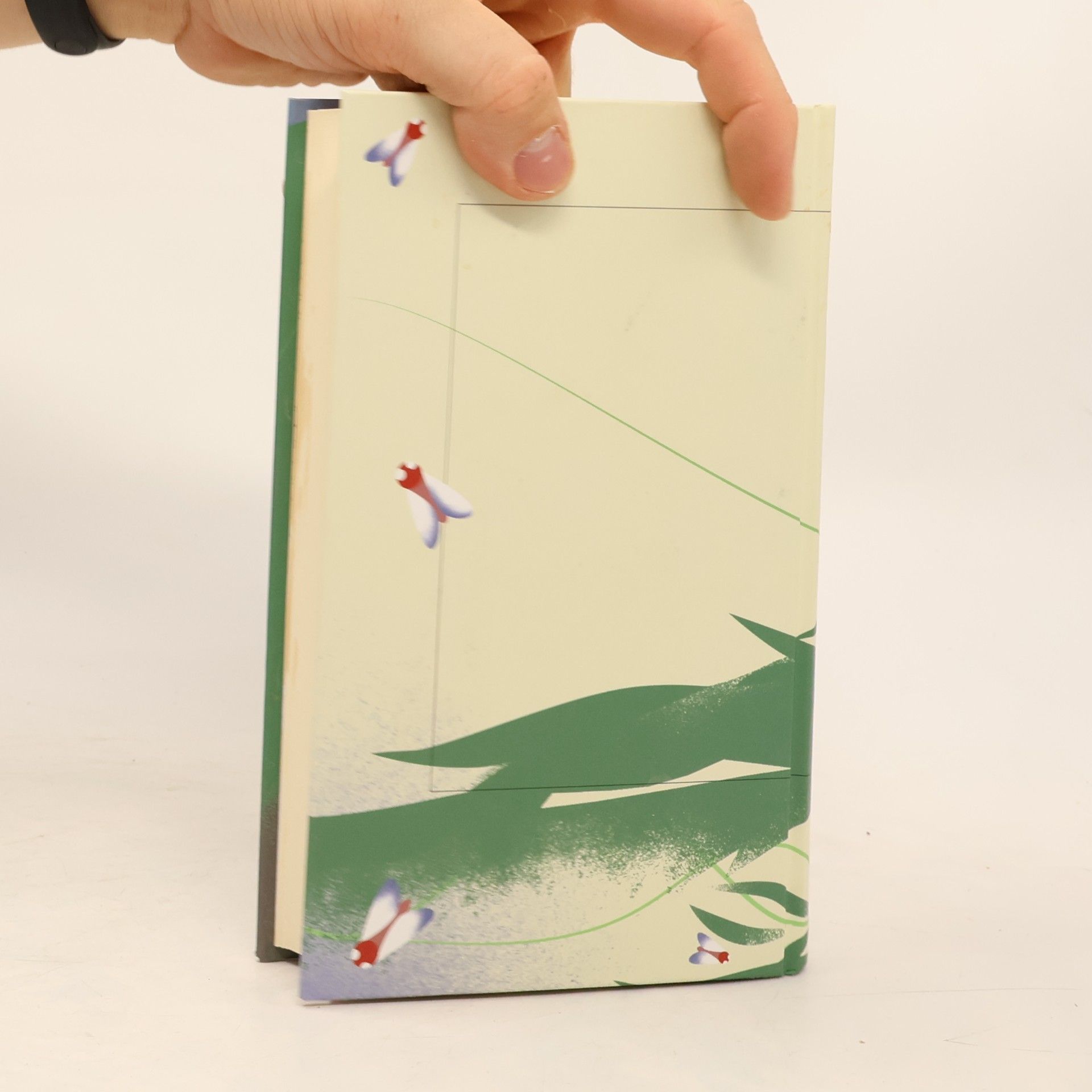 Haruki Murakami Slepá vŕba a spiaca žena