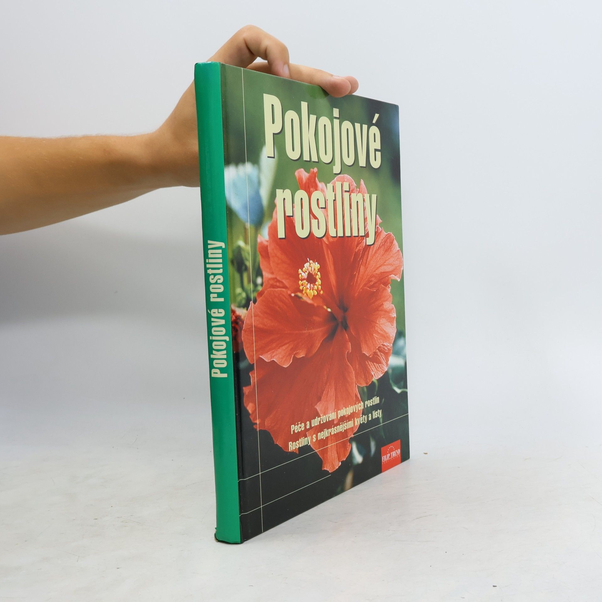 Jane Courtier Pokojové rostliny
