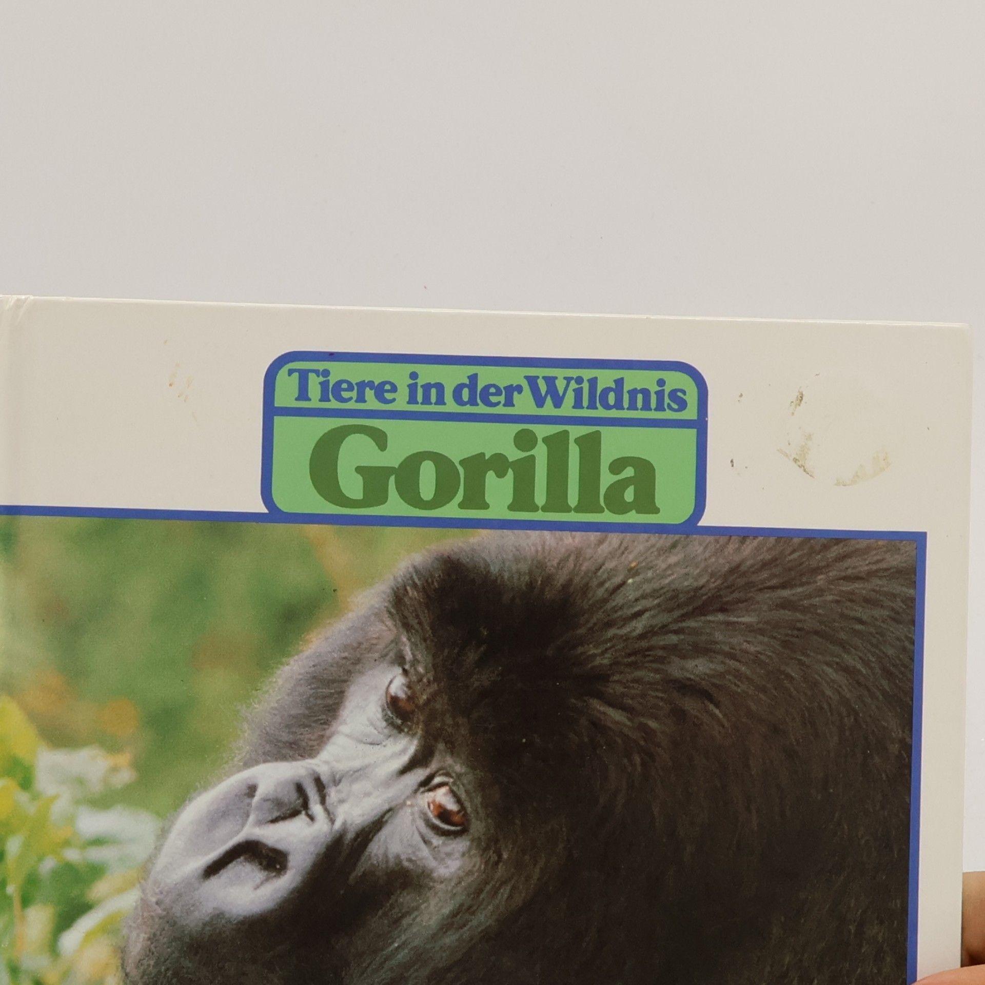 Mary Hoffman Tiere in der Wildnis