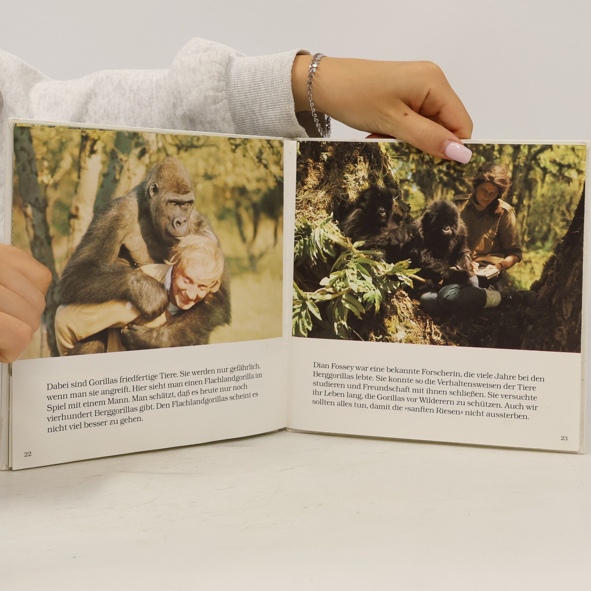 Mary Hoffman Tiere in der Wildnis