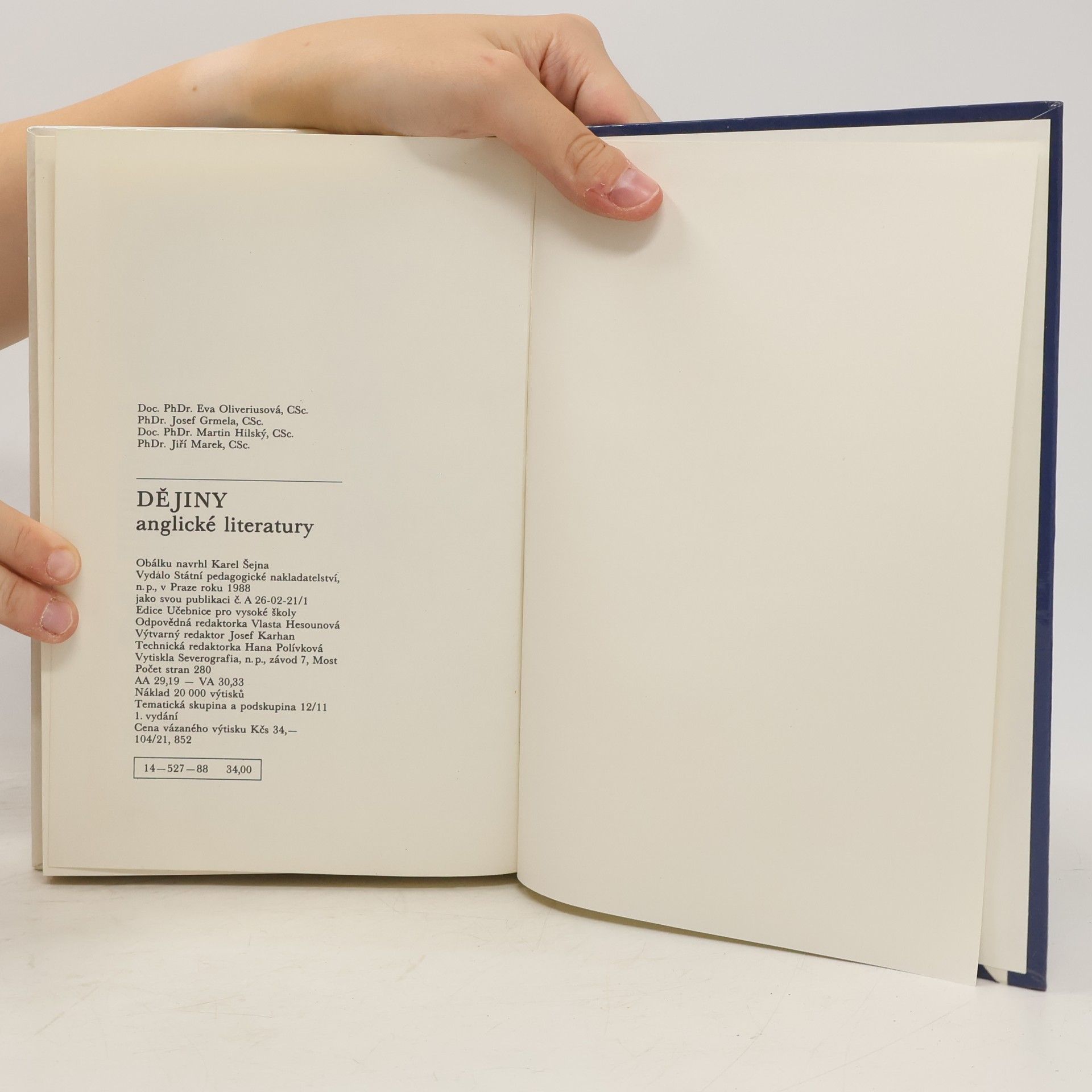 Autores varios Dějiny anglické literatury