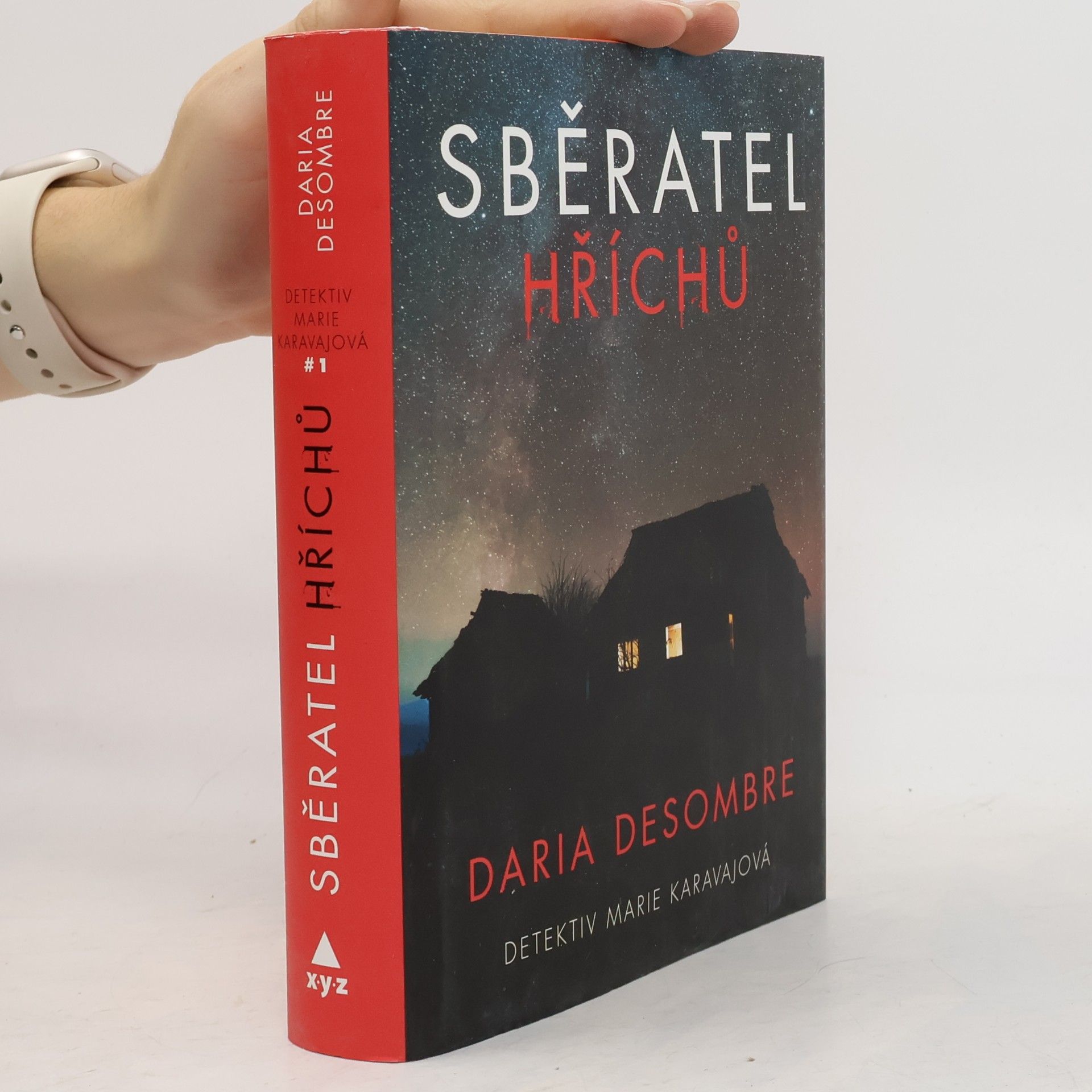 Daria Desombre Sběratel hříchů