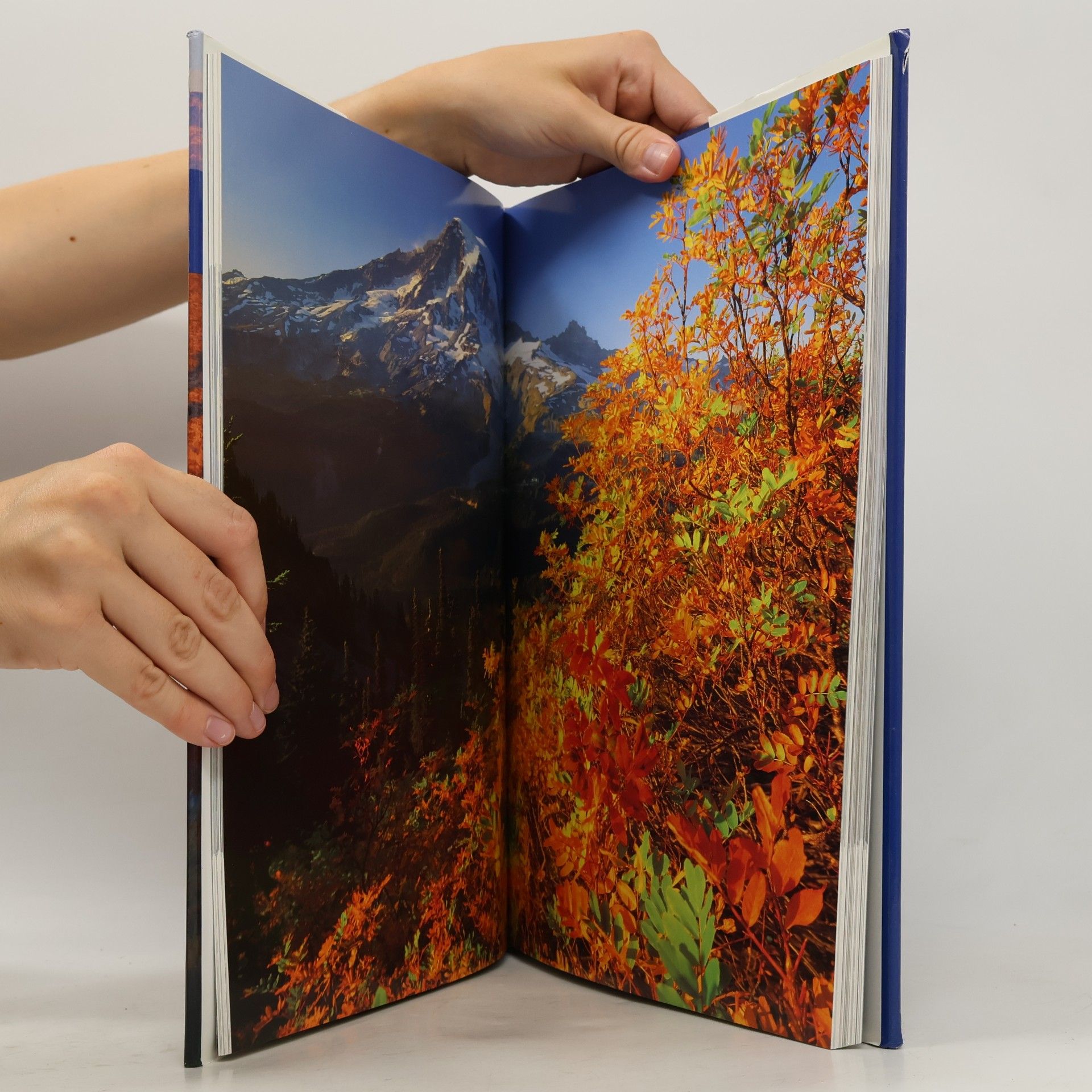 Various authors Amerikanische Nationalparks