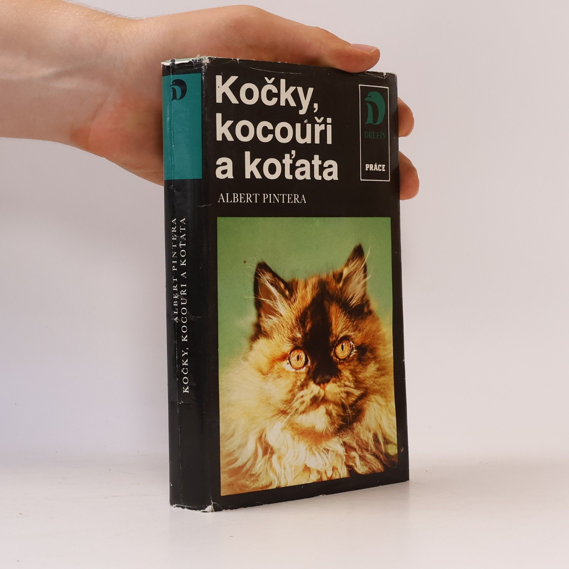 Albert Pintera Kočky, kocouři a koťata