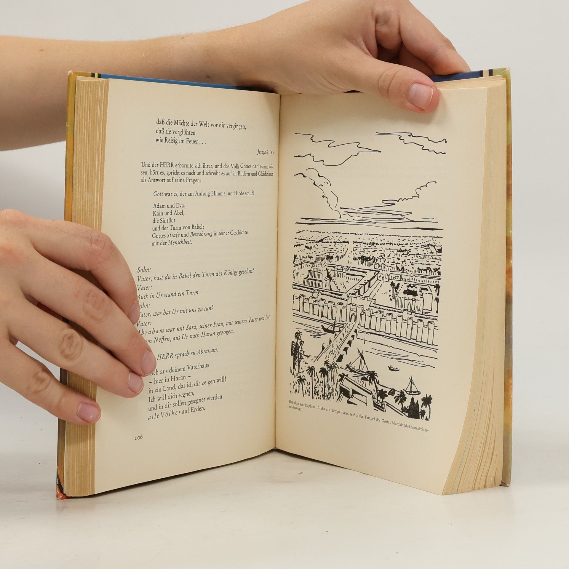 Maria Poetschke Das Wort läuft. Biblisches Lesenbuch