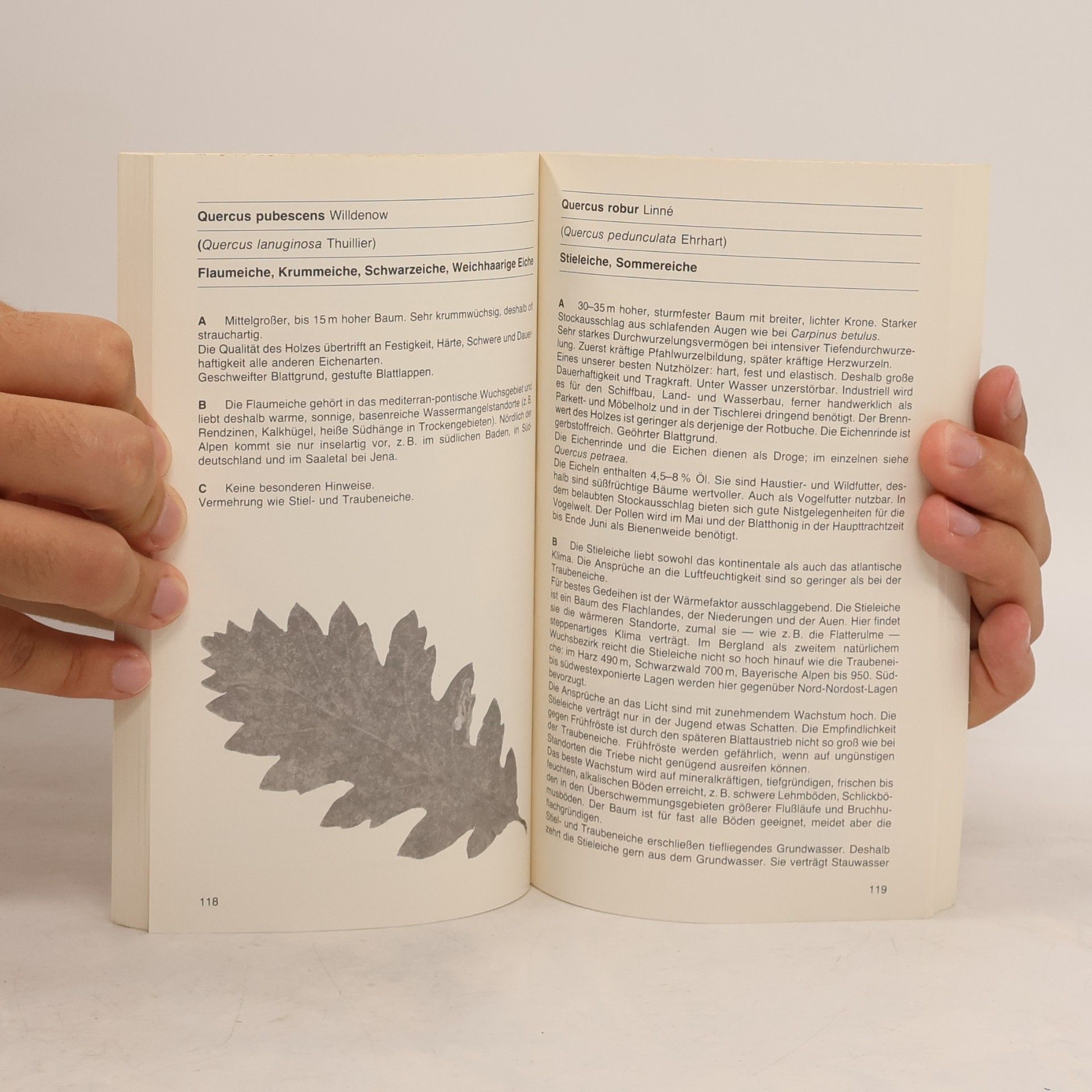Martin Ehlers Baum und Strauch in der Gestaltung und Pflege der Landschaft