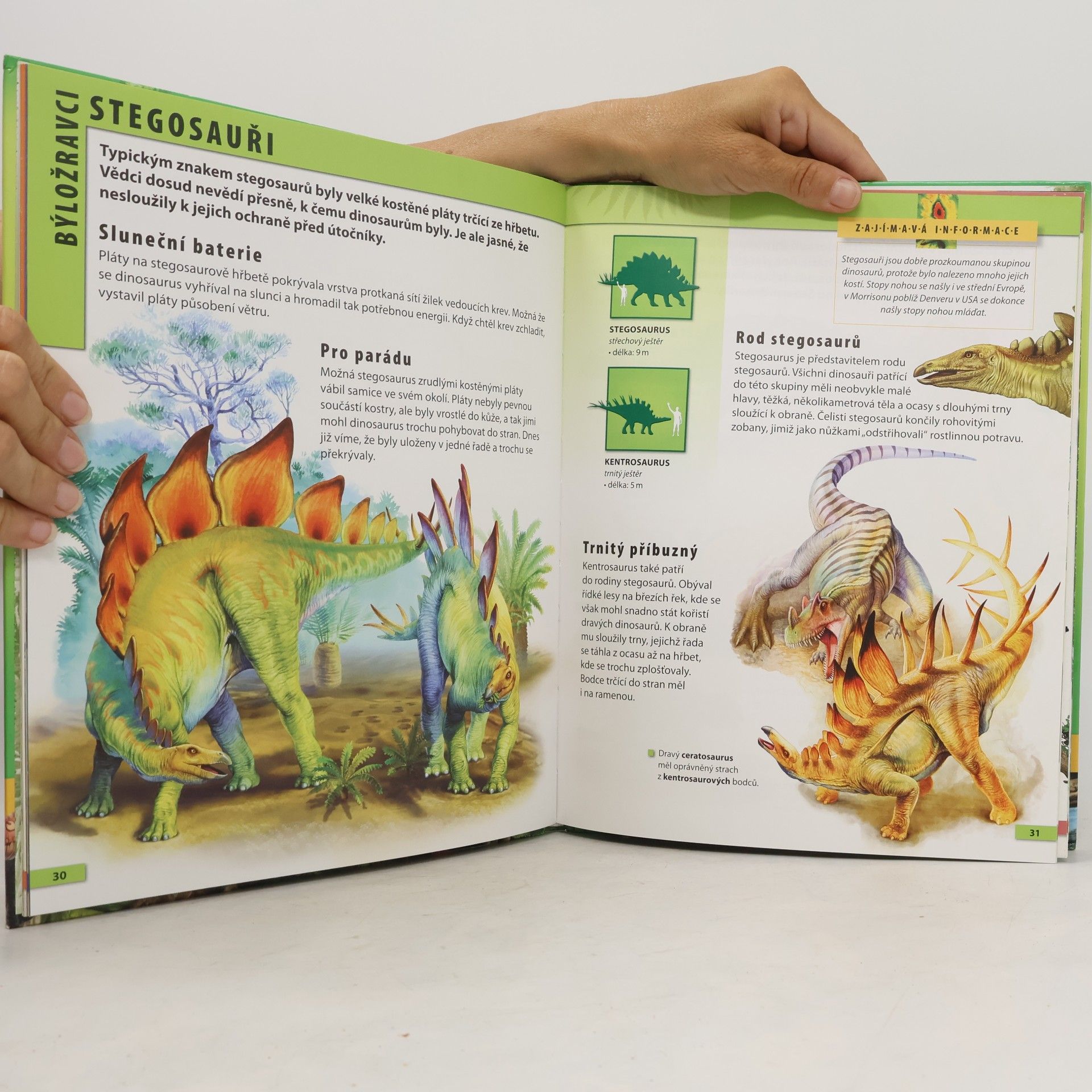 Barbara Majewska Dinosauři : encyklopedie pro děti ve věku 7-10 let