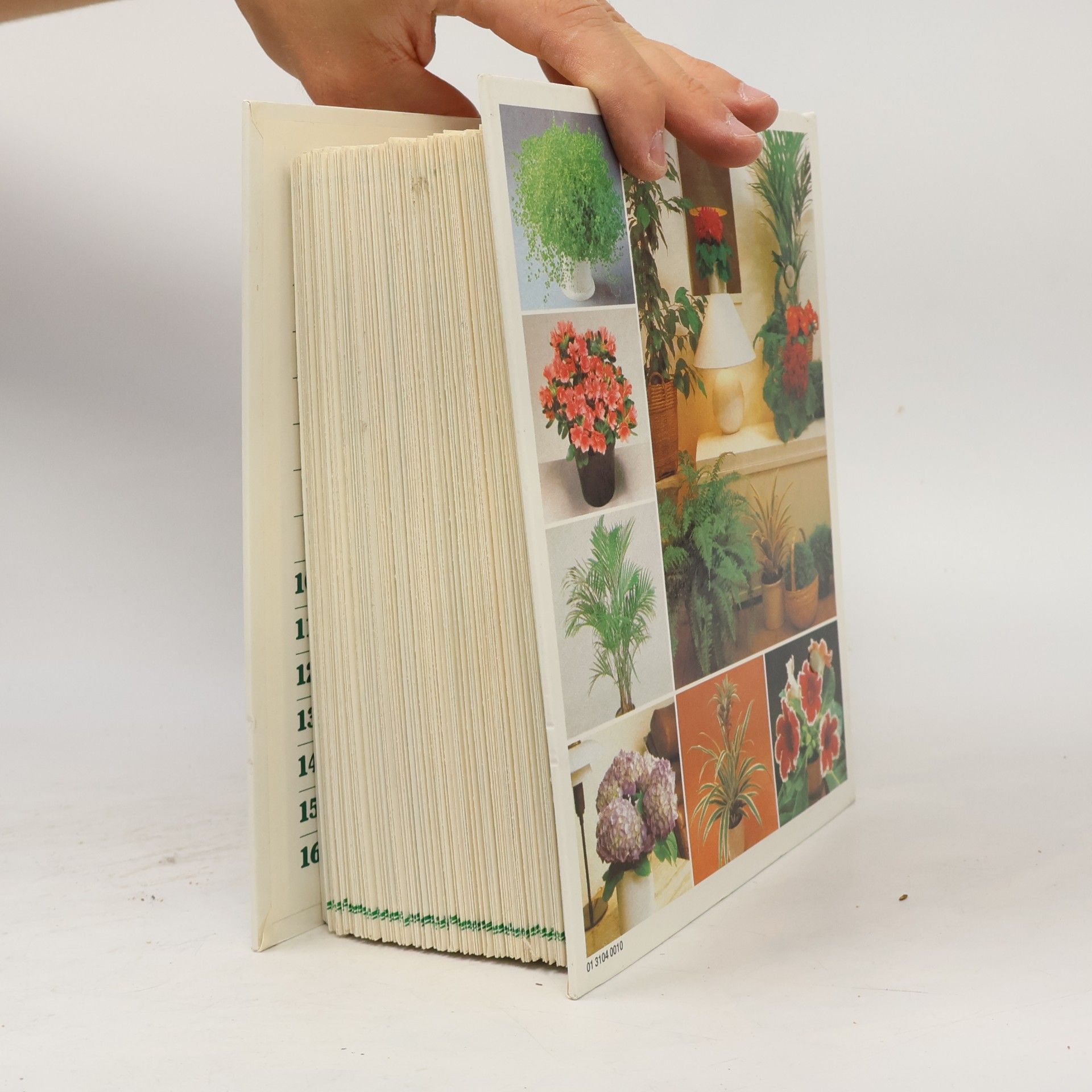 Various authors Pokojové květiny od A do Z, 1. svazek
