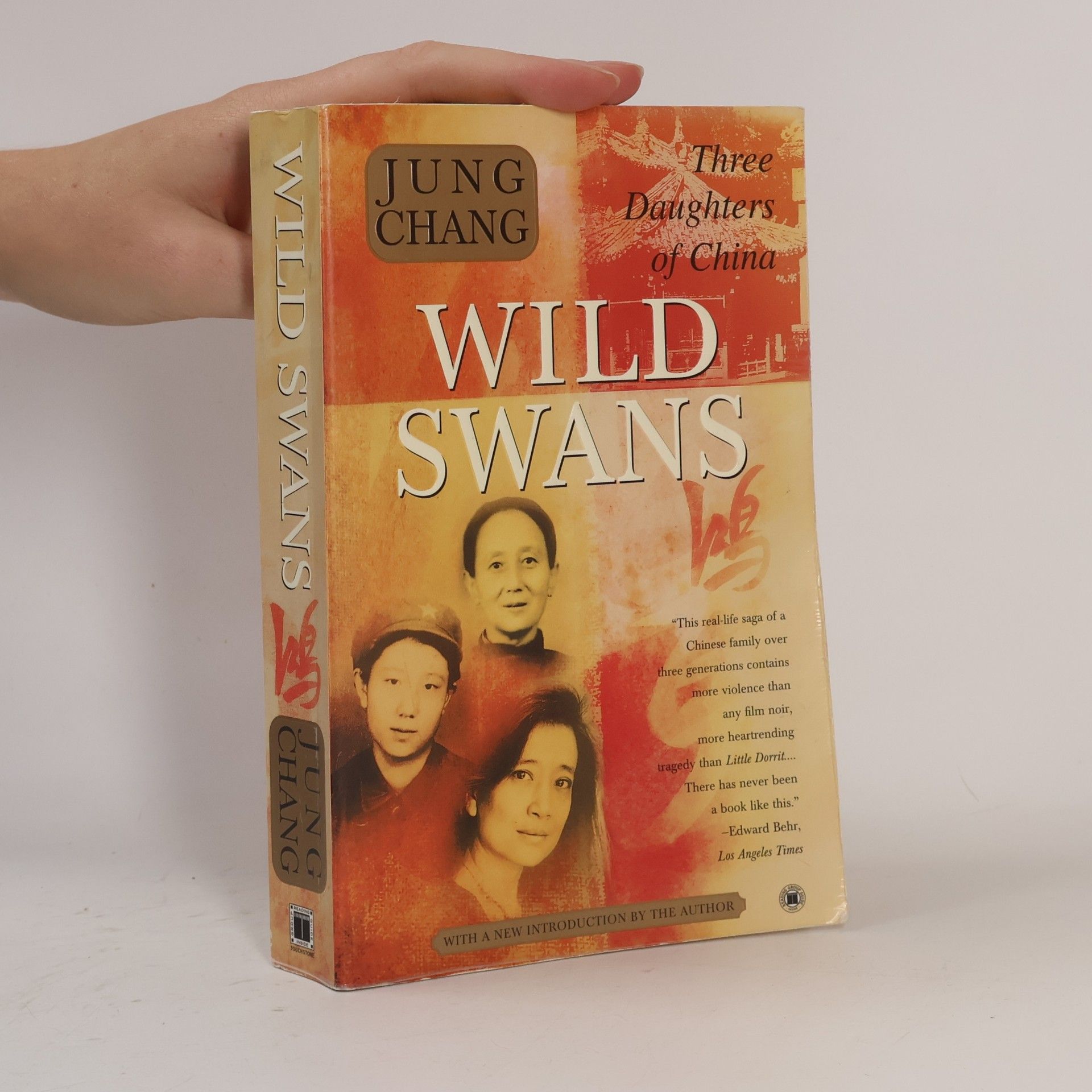Yong Chang Wild swans