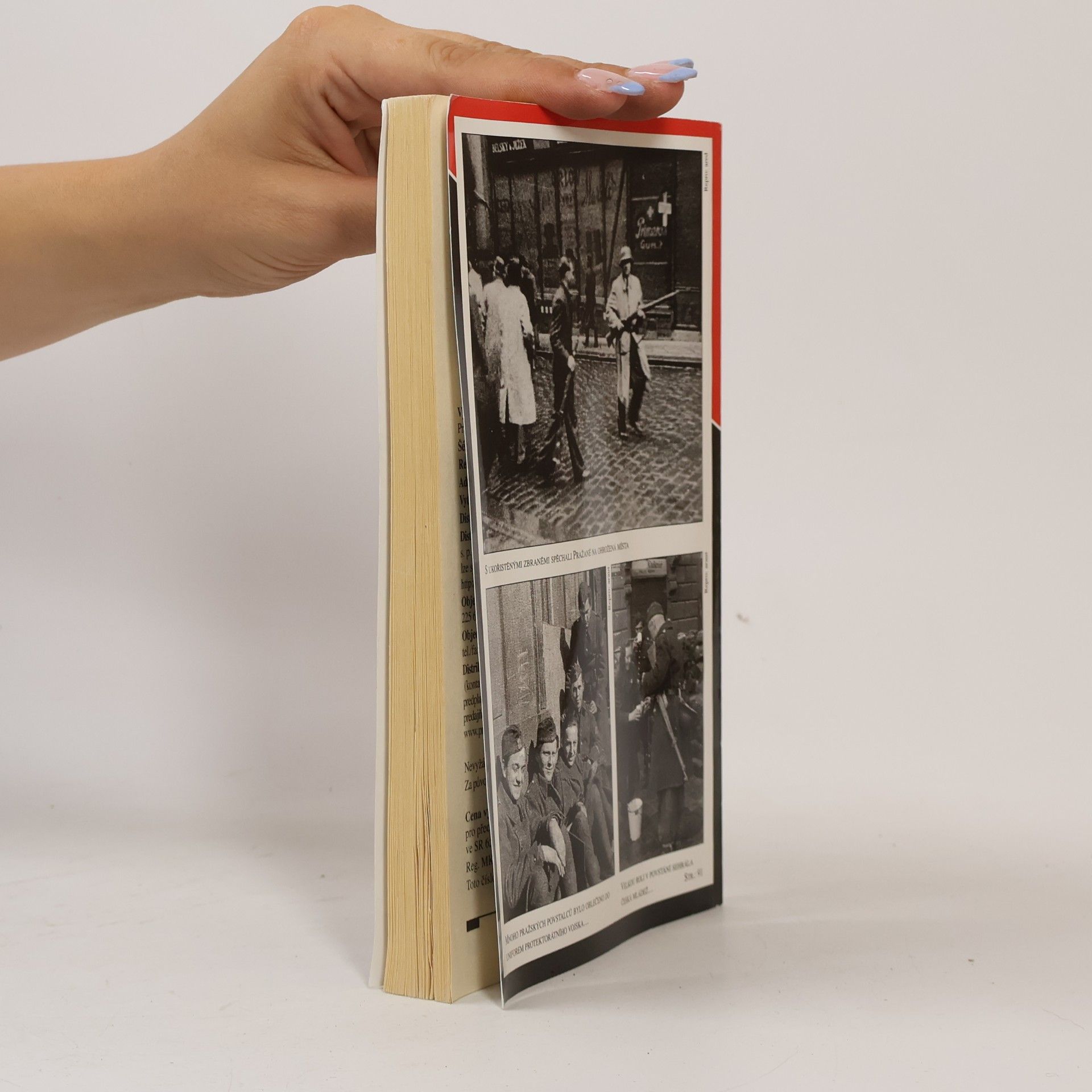 Collectif d'auteurs Přísně tajné 6/2006. Křižáci