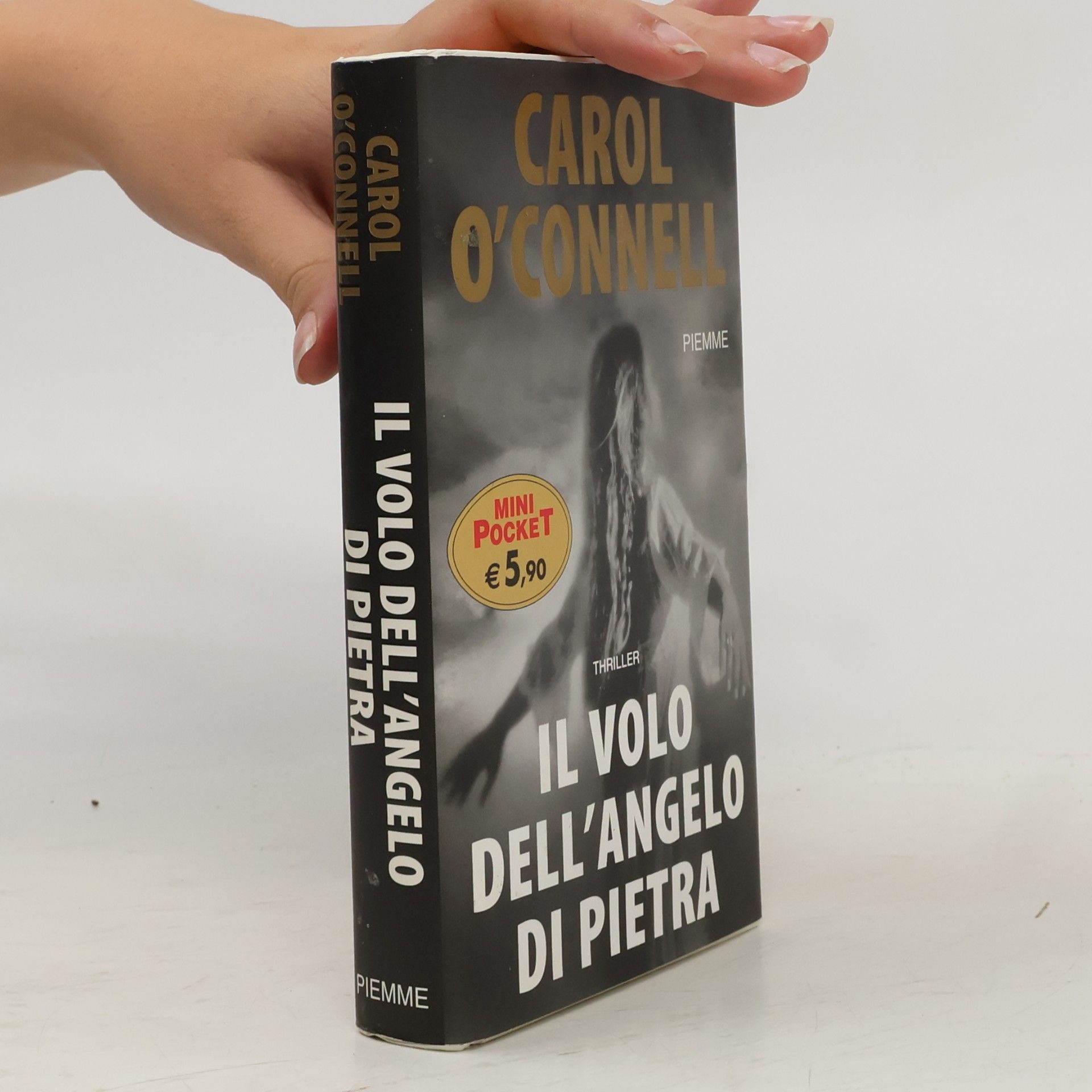 Carol O. Connell Il volo dell'angelo di pietra