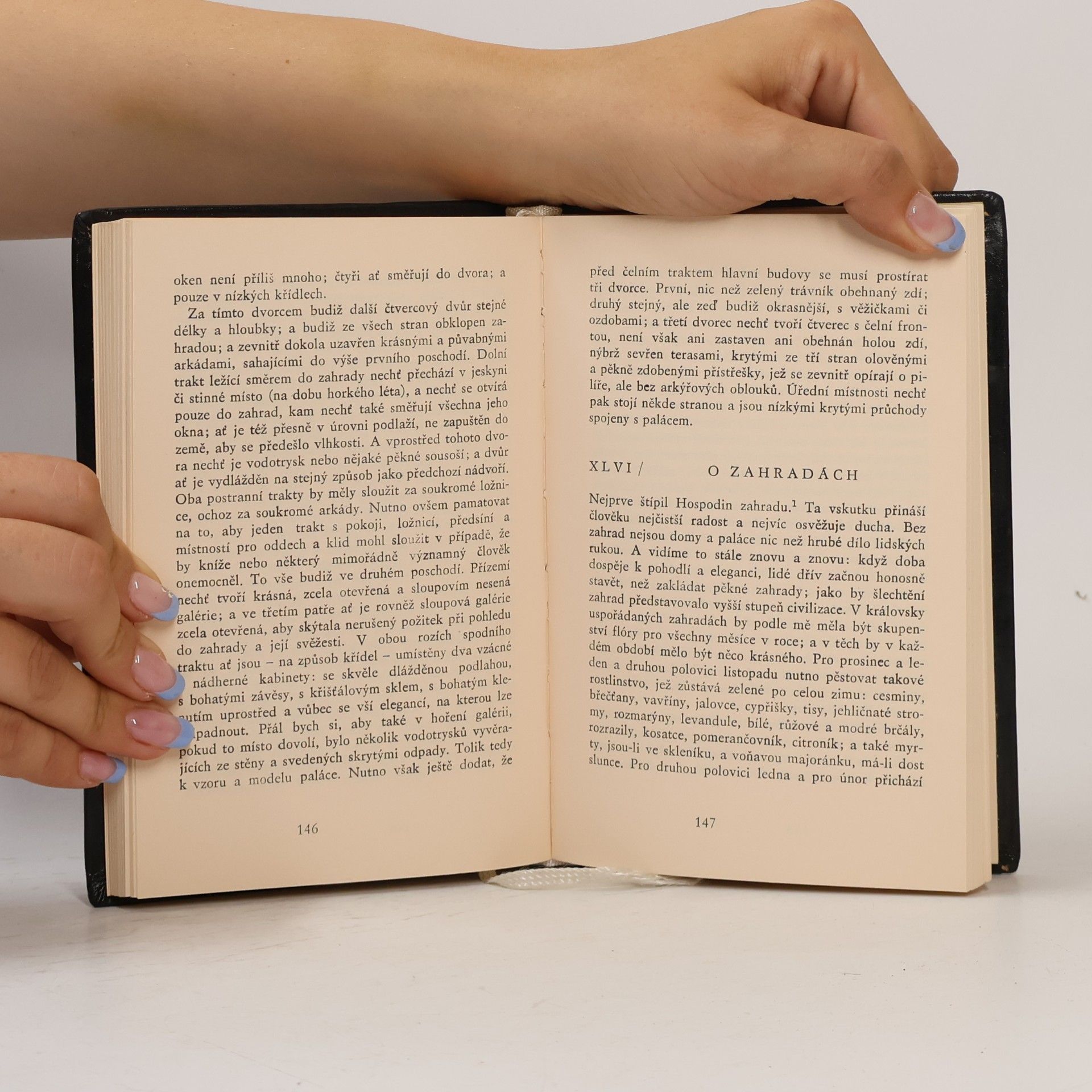 Francis Bacon Eseje