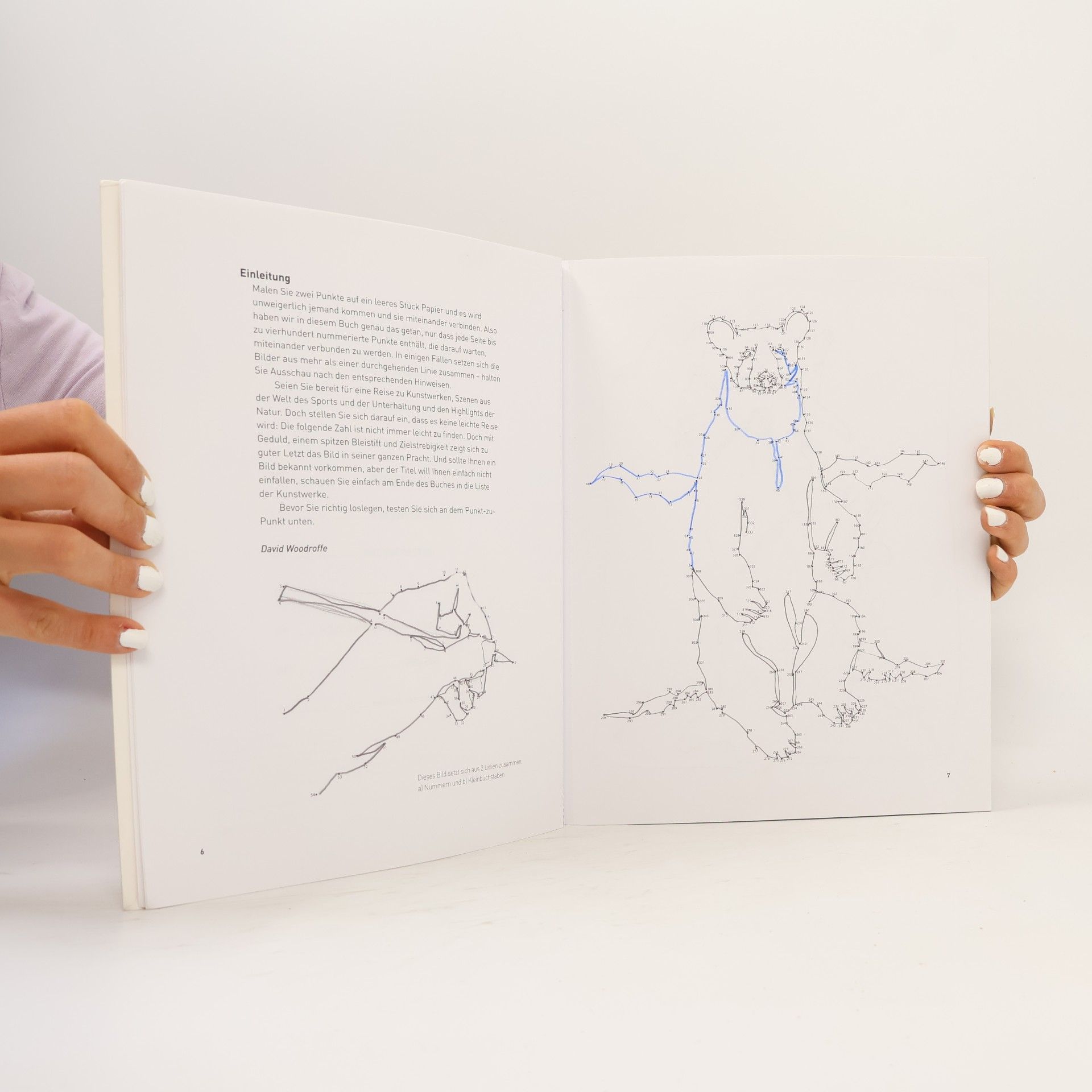 David Woodroffe Malbuch für Erwachsene: Punkt-zu-Punkt