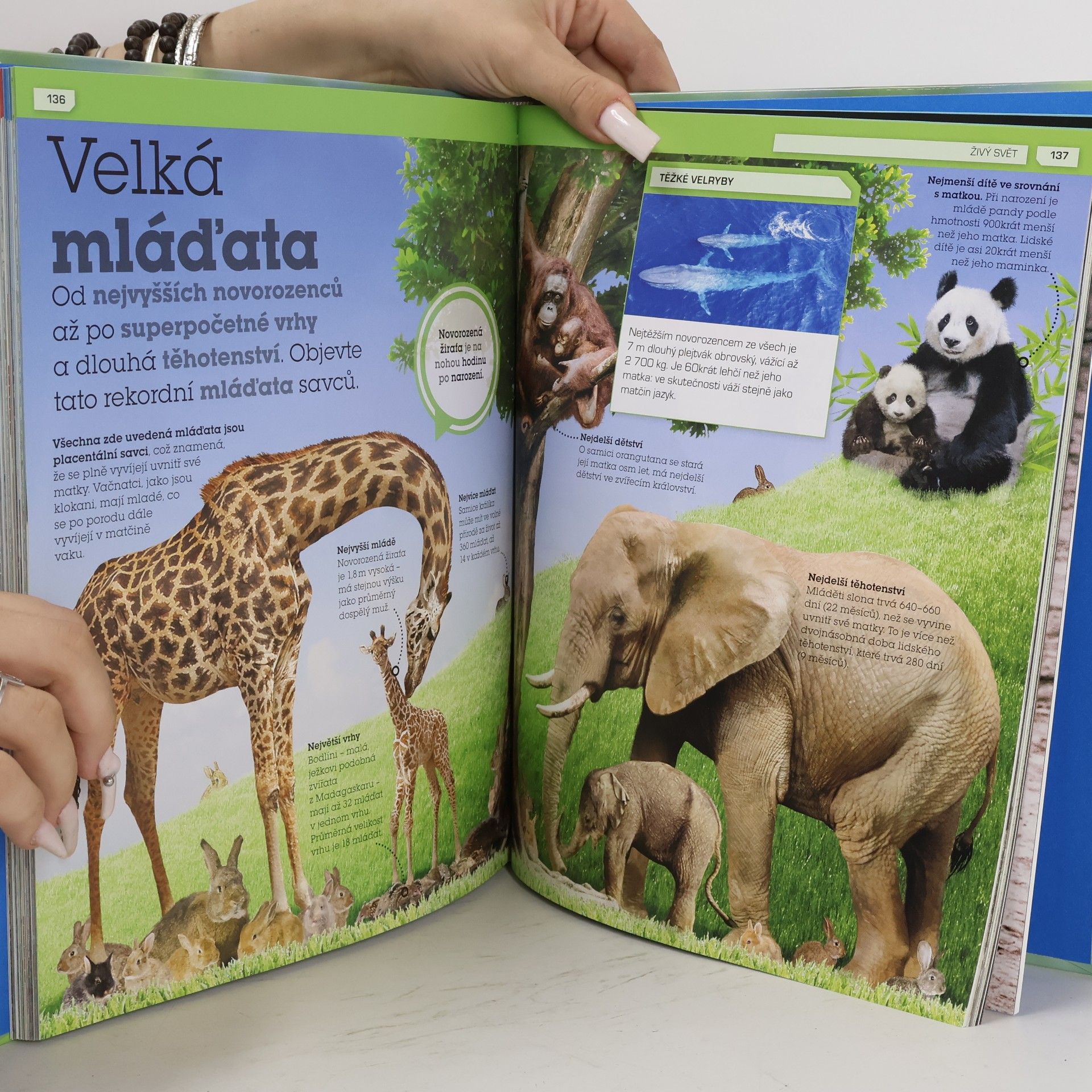 Autorenkollektiv Lamači rekordů