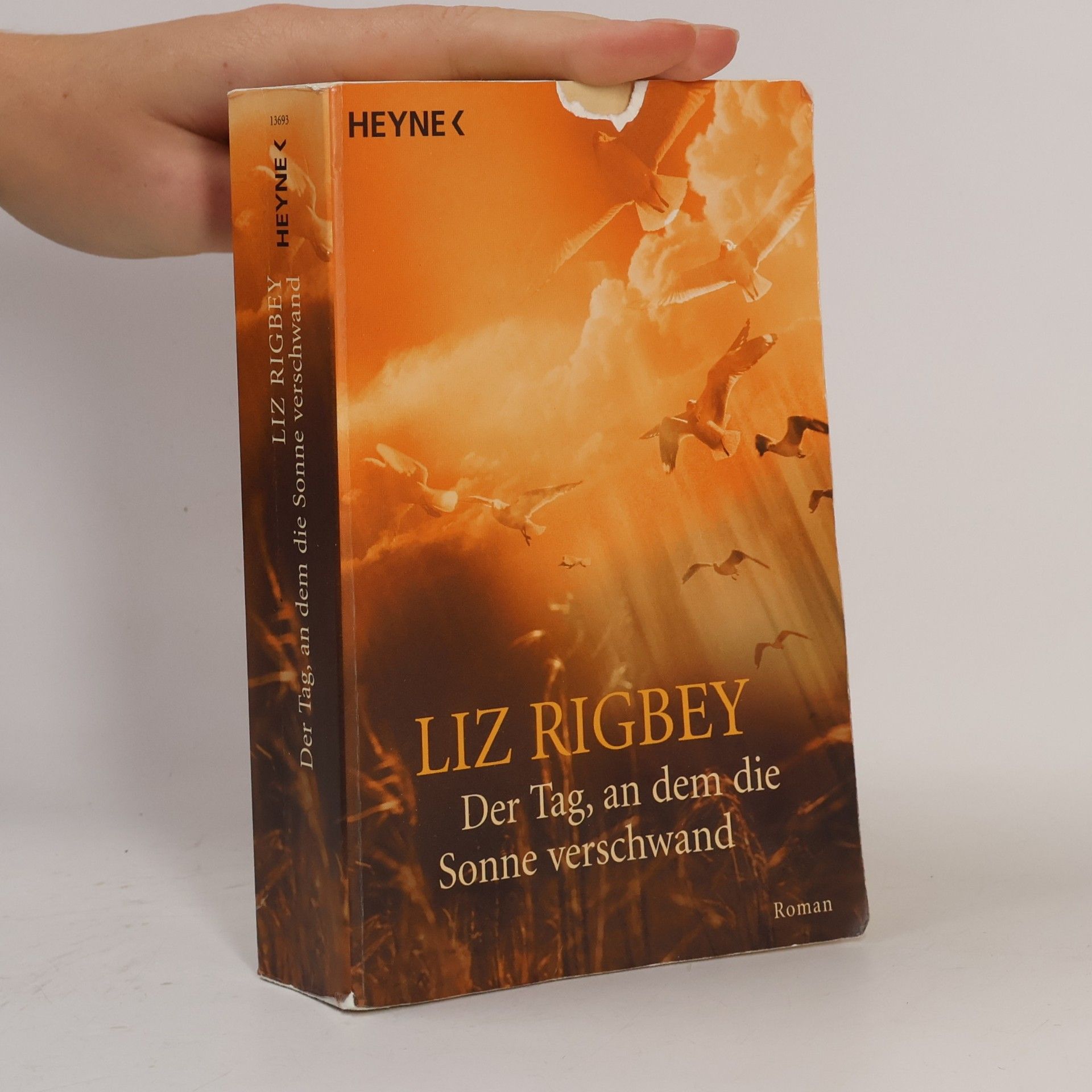 Liz Rigbey Der Tag, an dem die Sonne verschwand