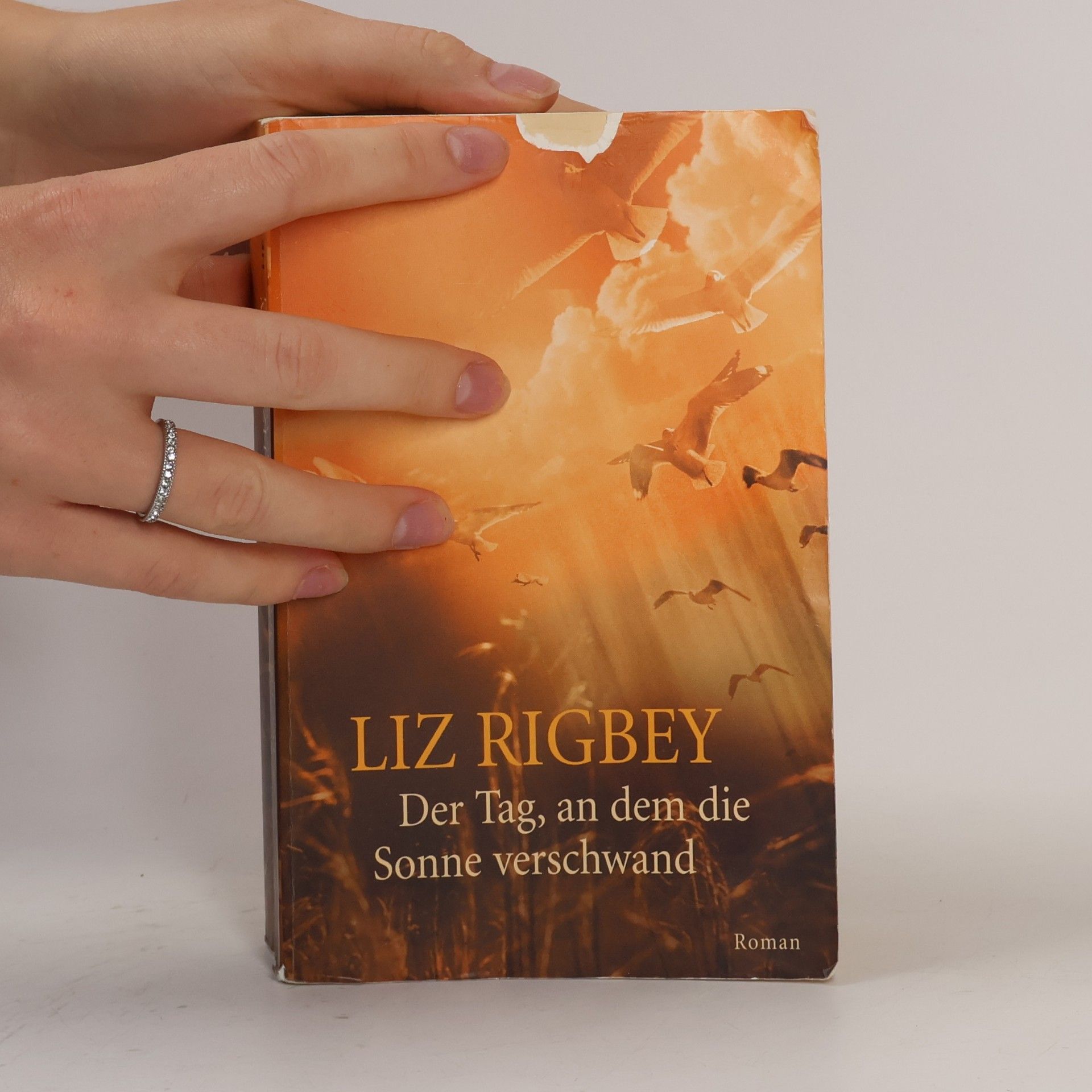 Liz Rigbey Der Tag, an dem die Sonne verschwand
