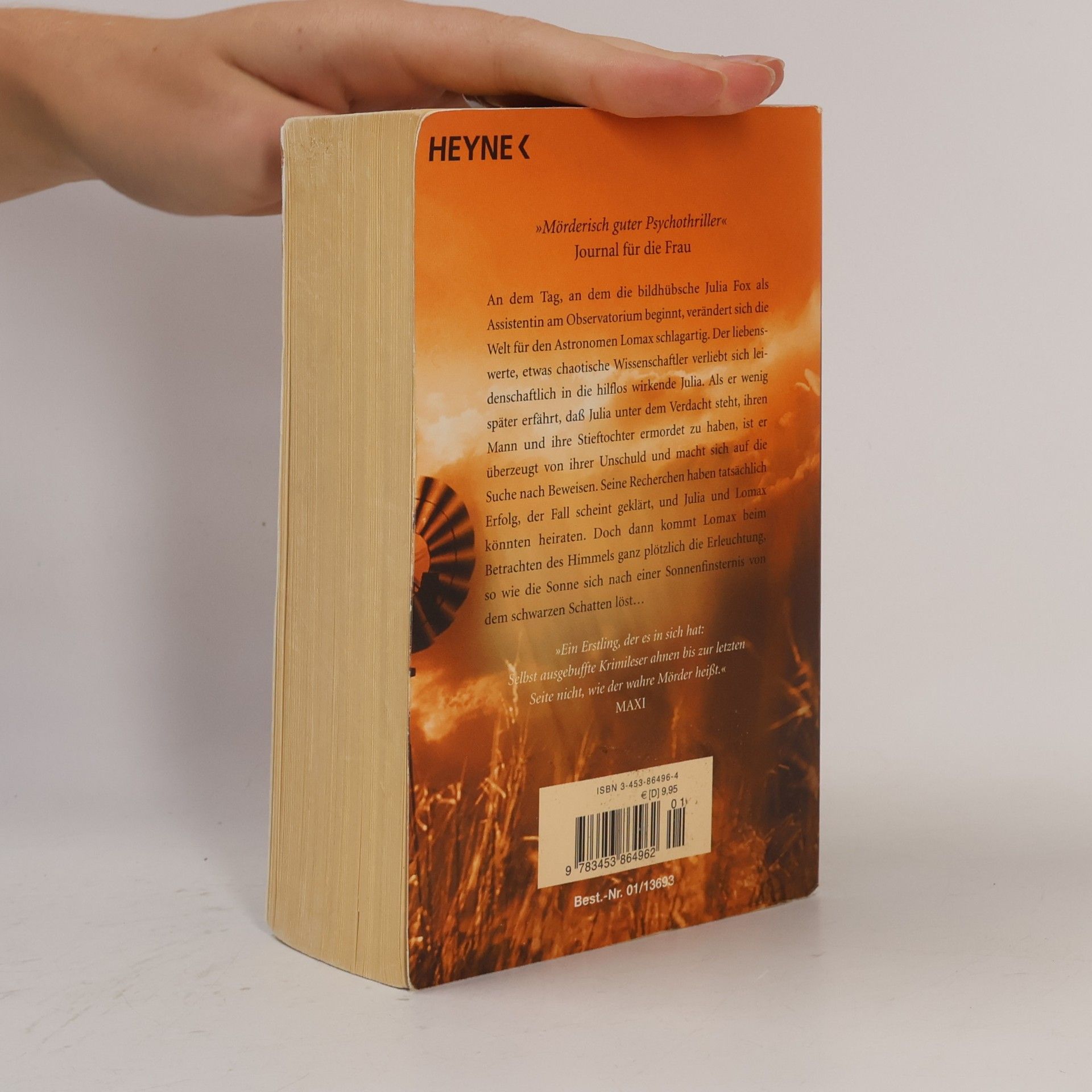 Liz Rigbey Der Tag, an dem die Sonne verschwand
