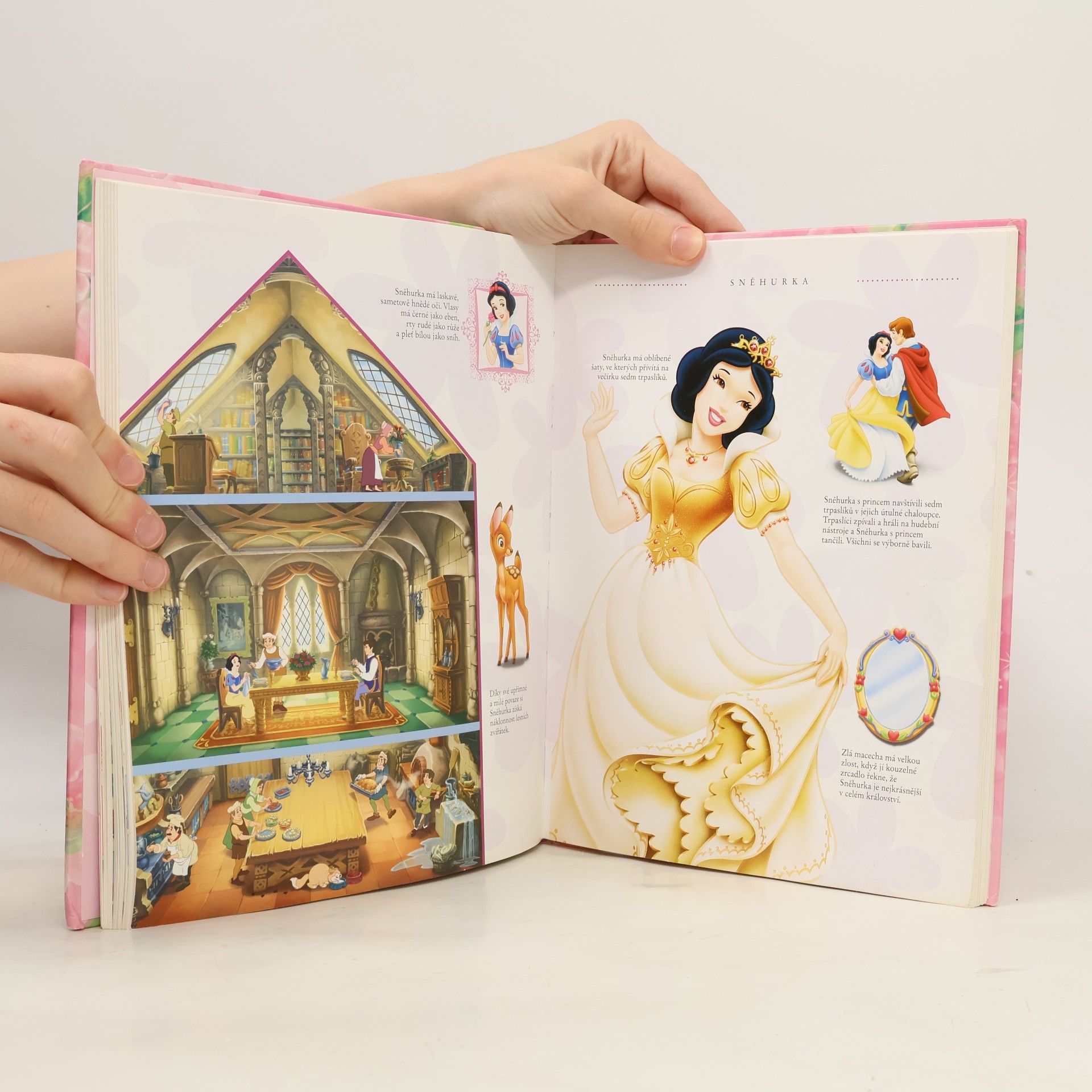 Walt Disney Velká kniha princezen