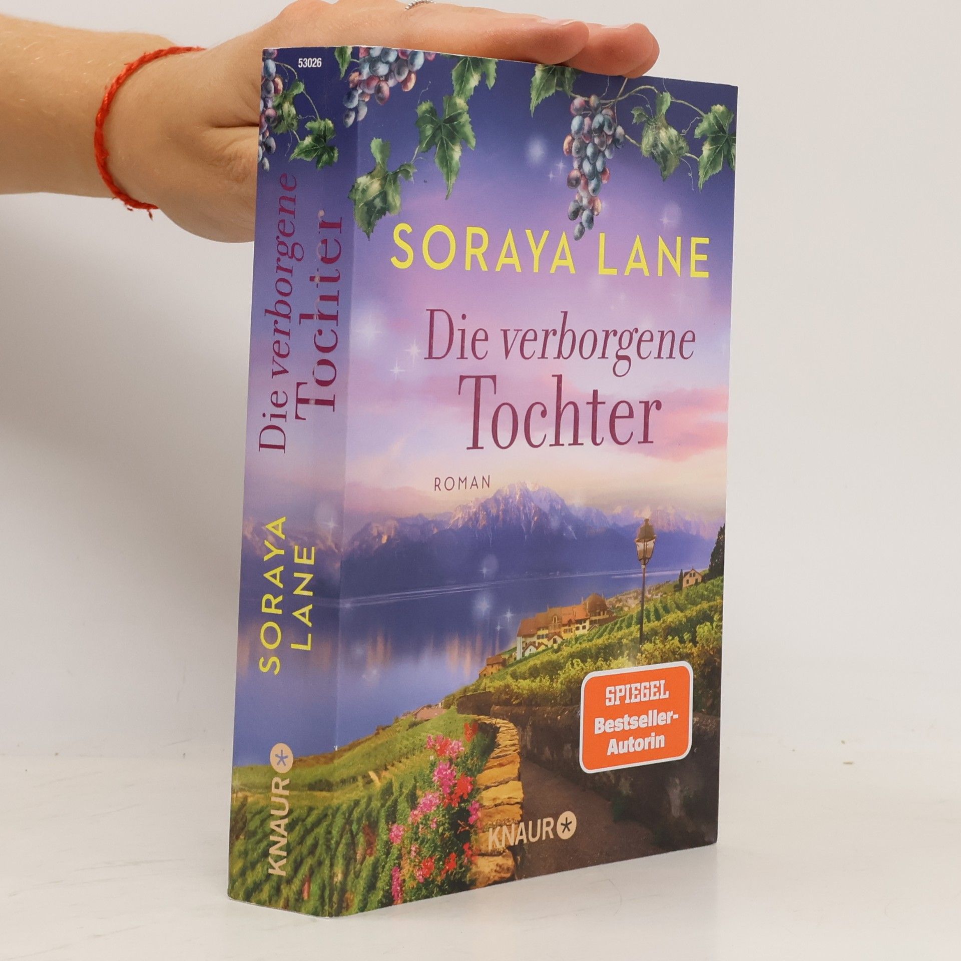 Die verborgene Tochter / Die verlorenen Töchter Bd.4